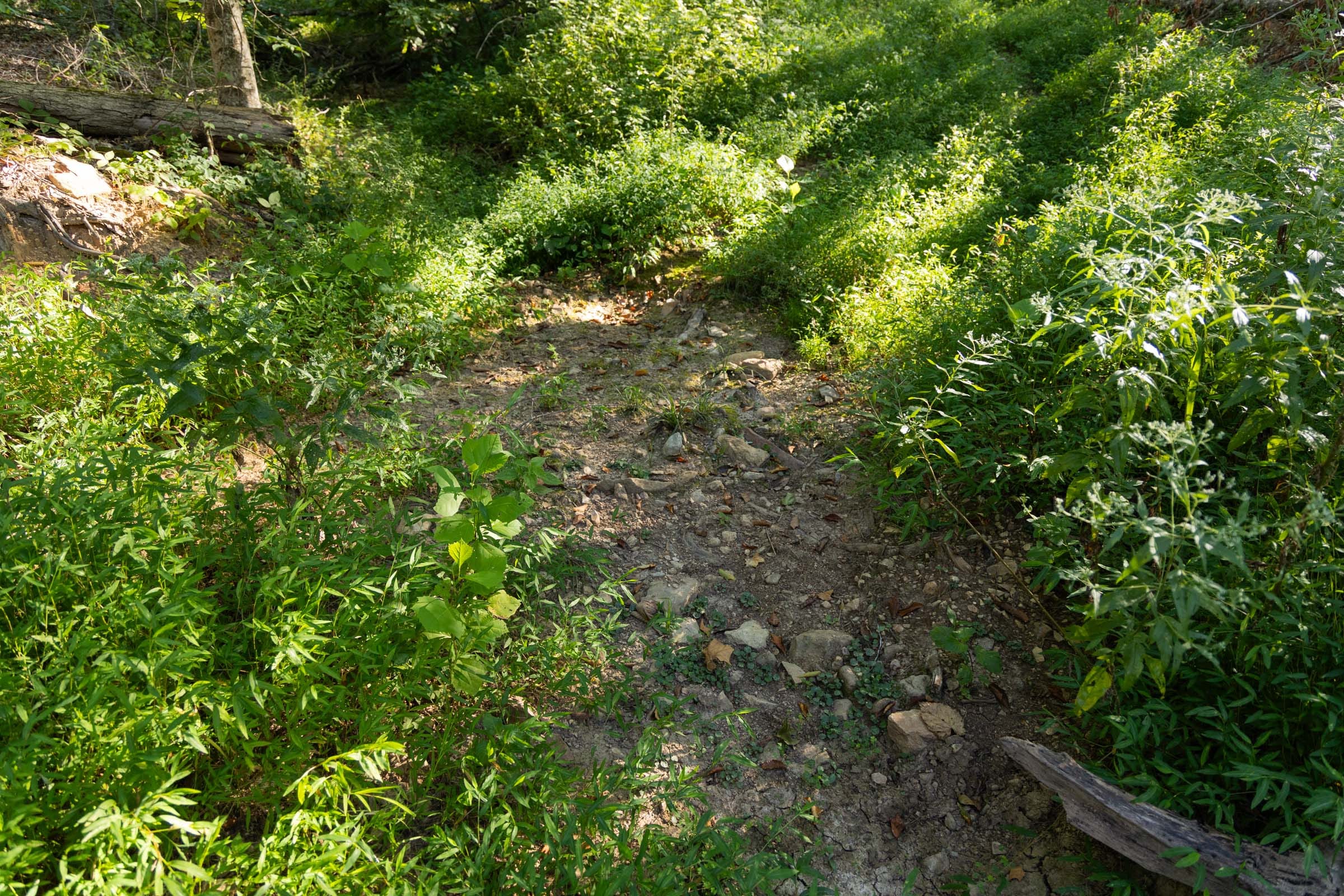 Big White Oak Tract 86 photo 5