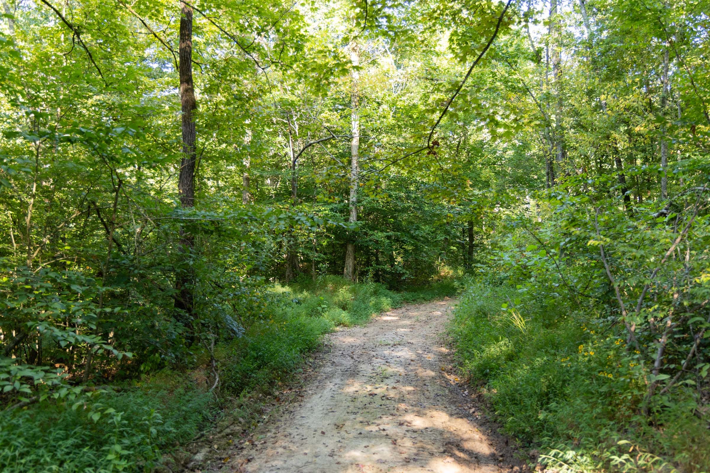 Big White Oak Tract 86 photo 1