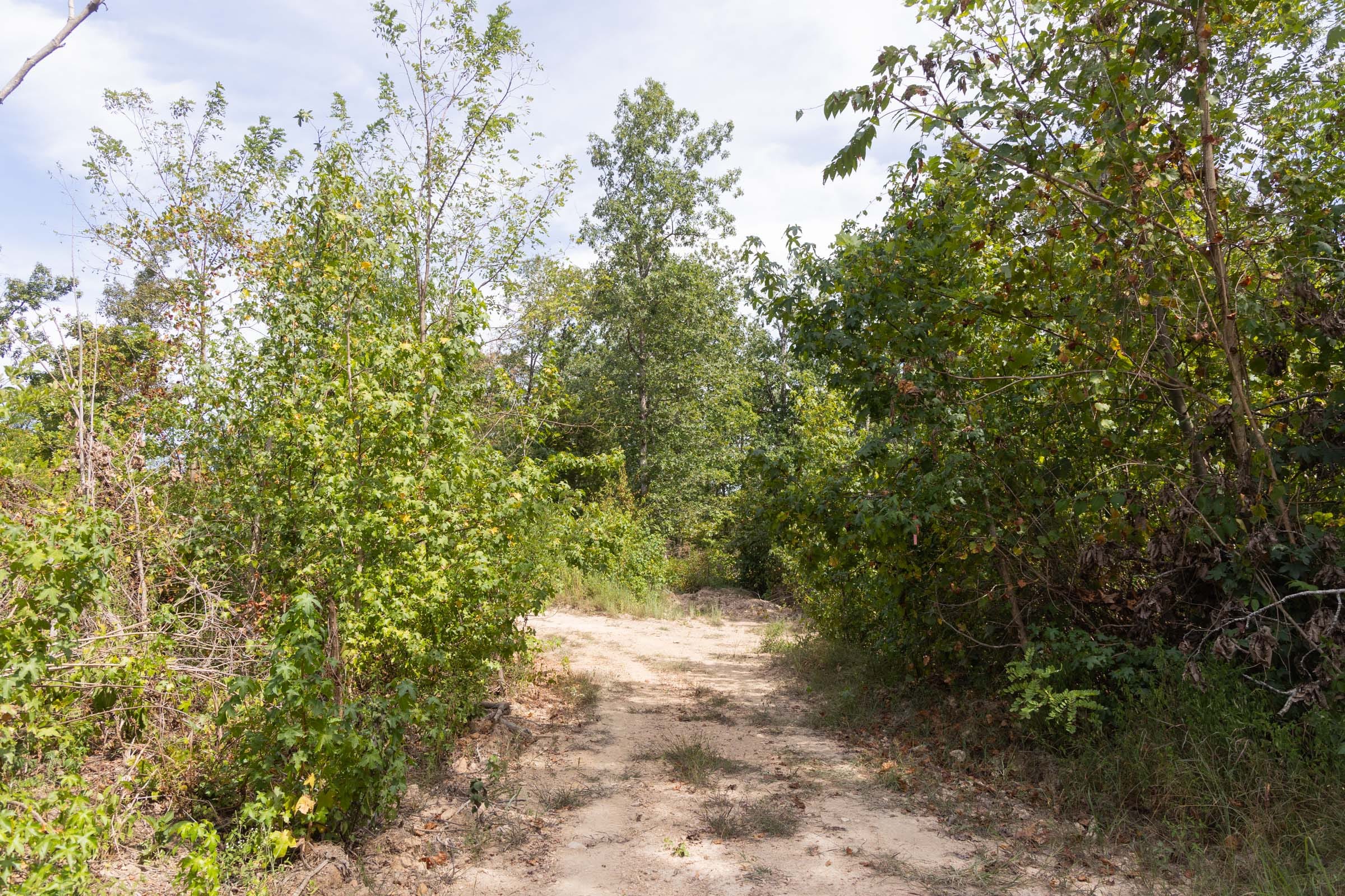 Big White Oak Tract 86 photo 11