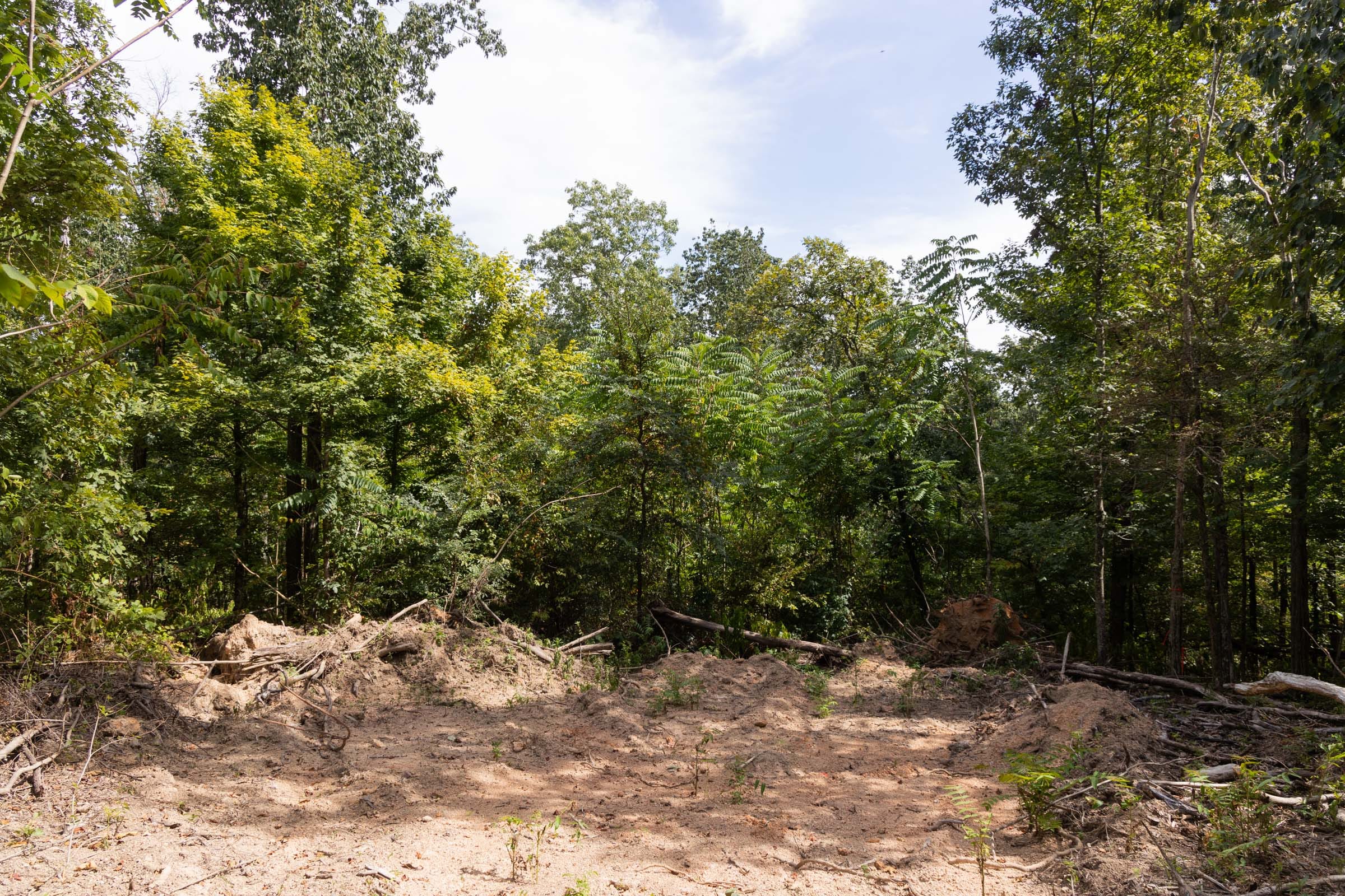 Big White Oak Tract 86 photo 6