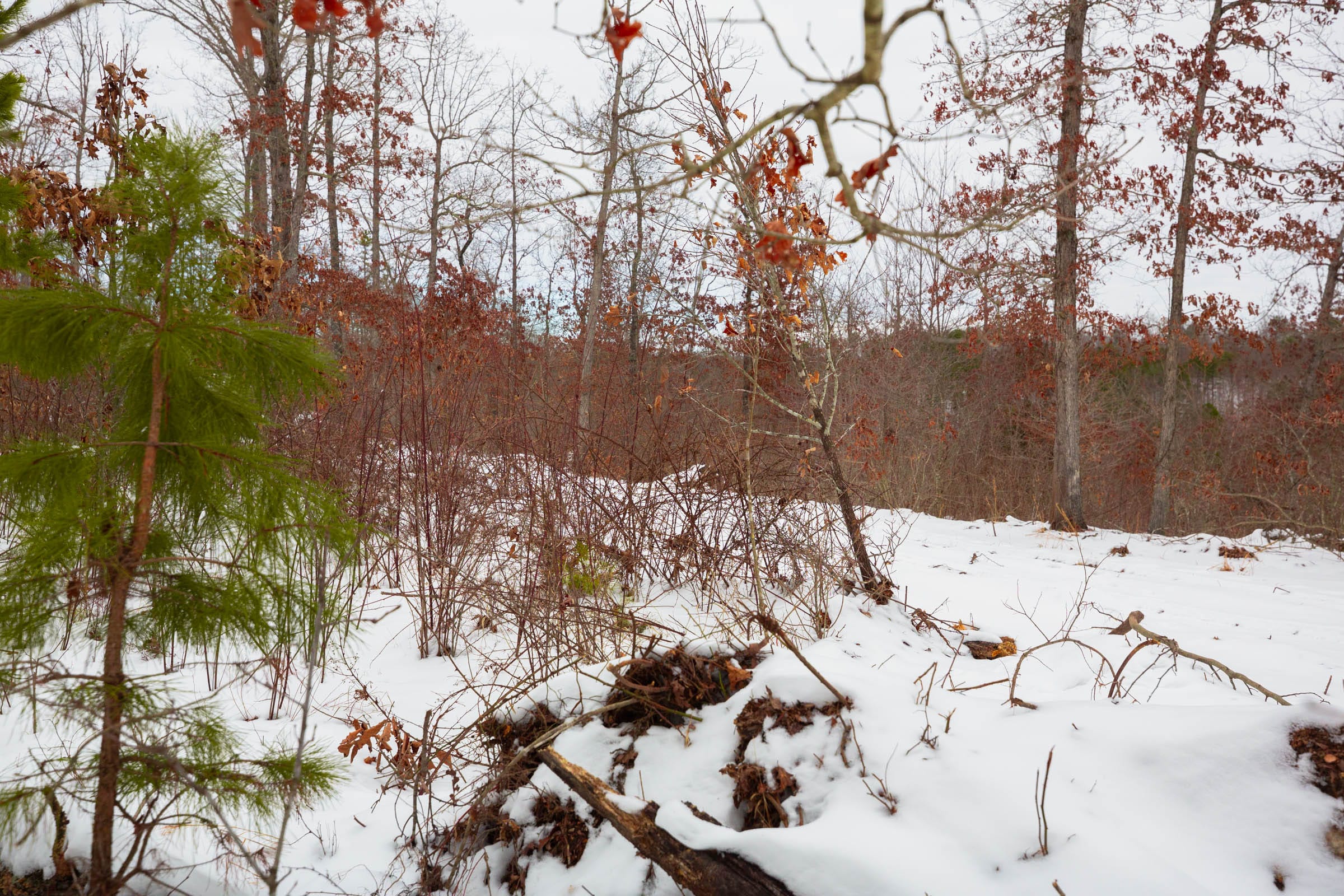 Sleepy Hollow Phase I Tract 16 photo 11