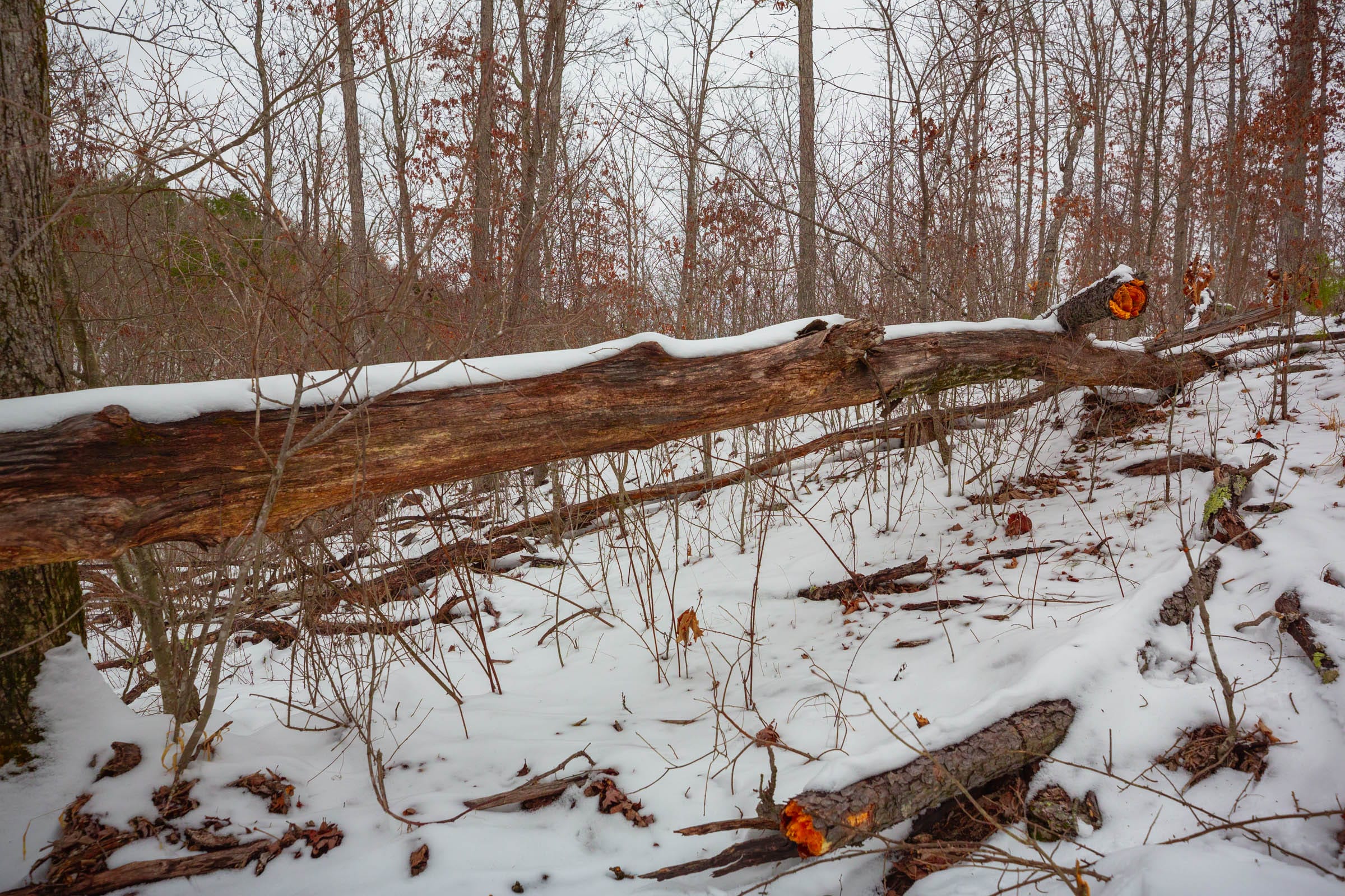 Sleepy Hollow Phase I Tract 16 photo 14