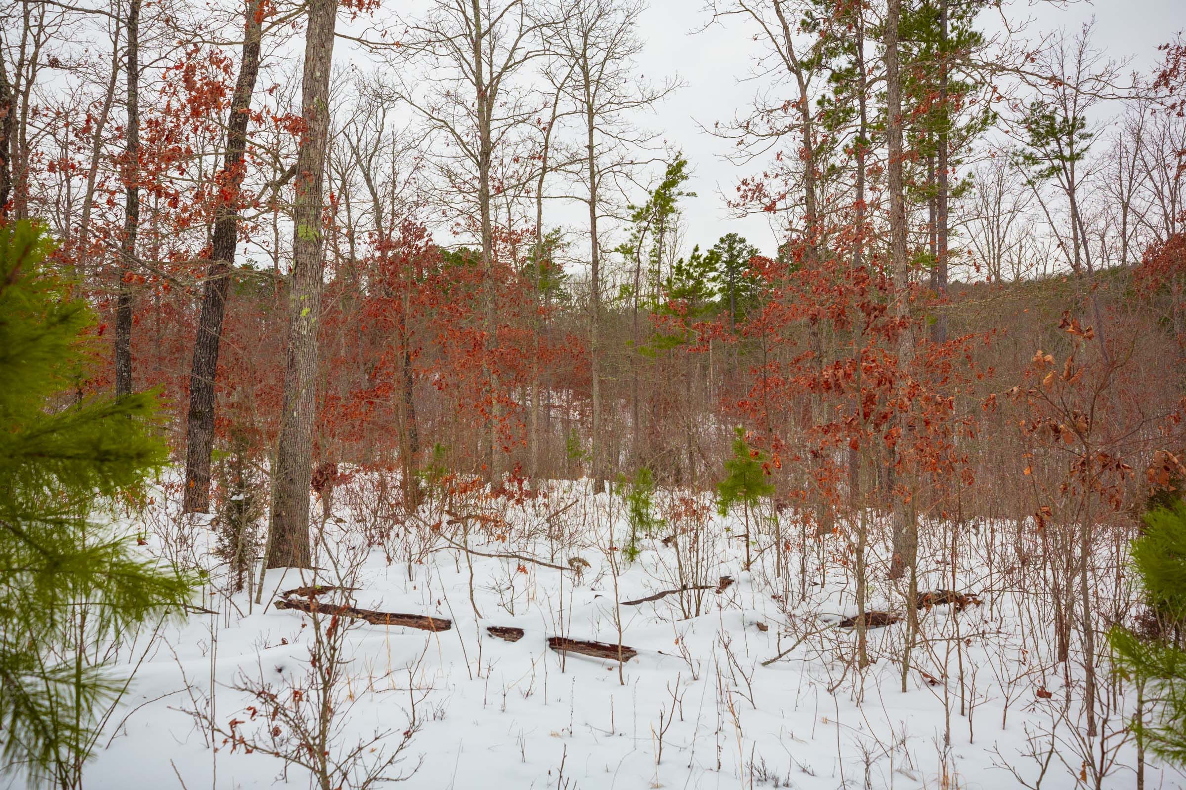 Sleepy Hollow Phase I Tract 16 photo 8