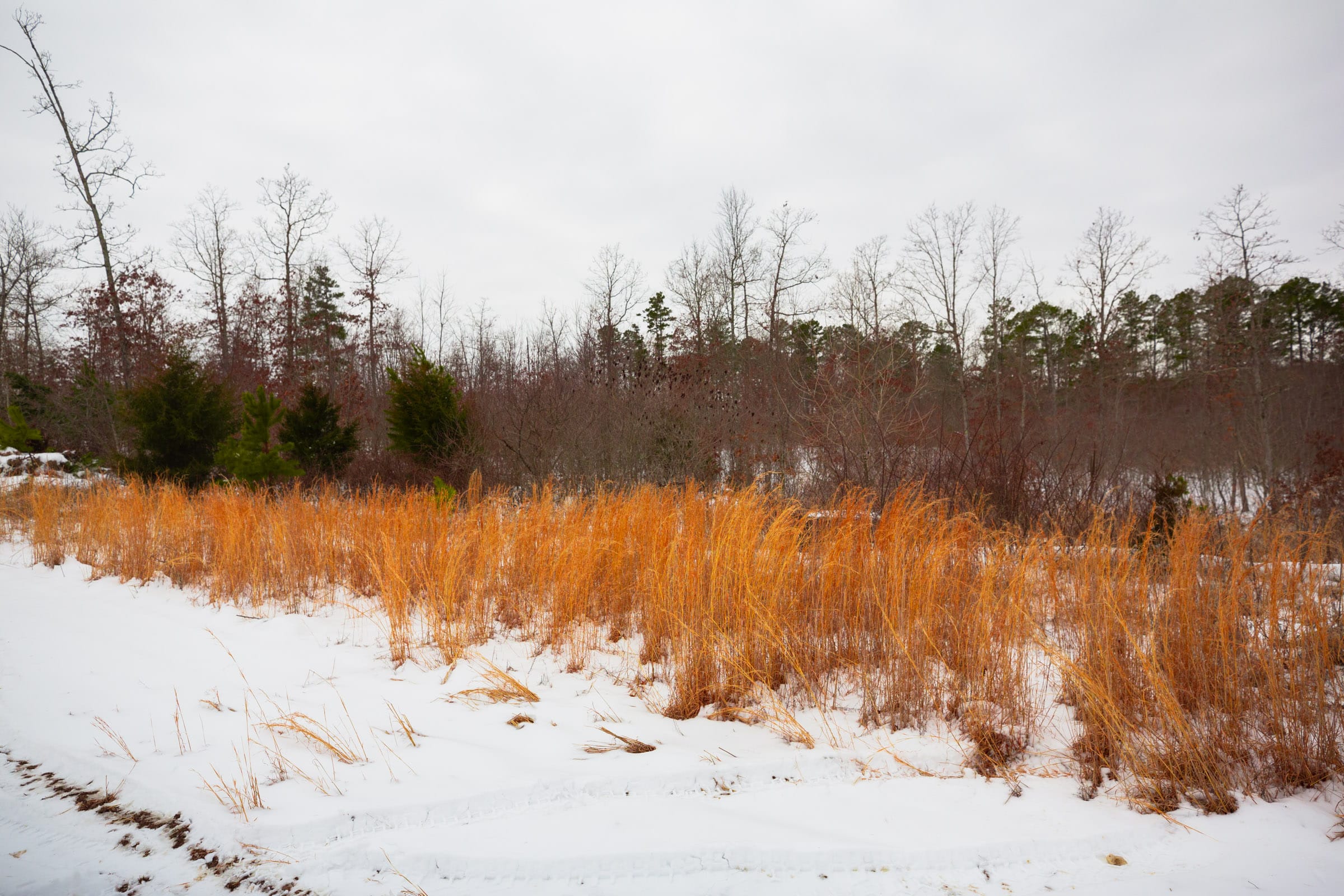Sleepy Hollow Phase I Tract 16 photo 7