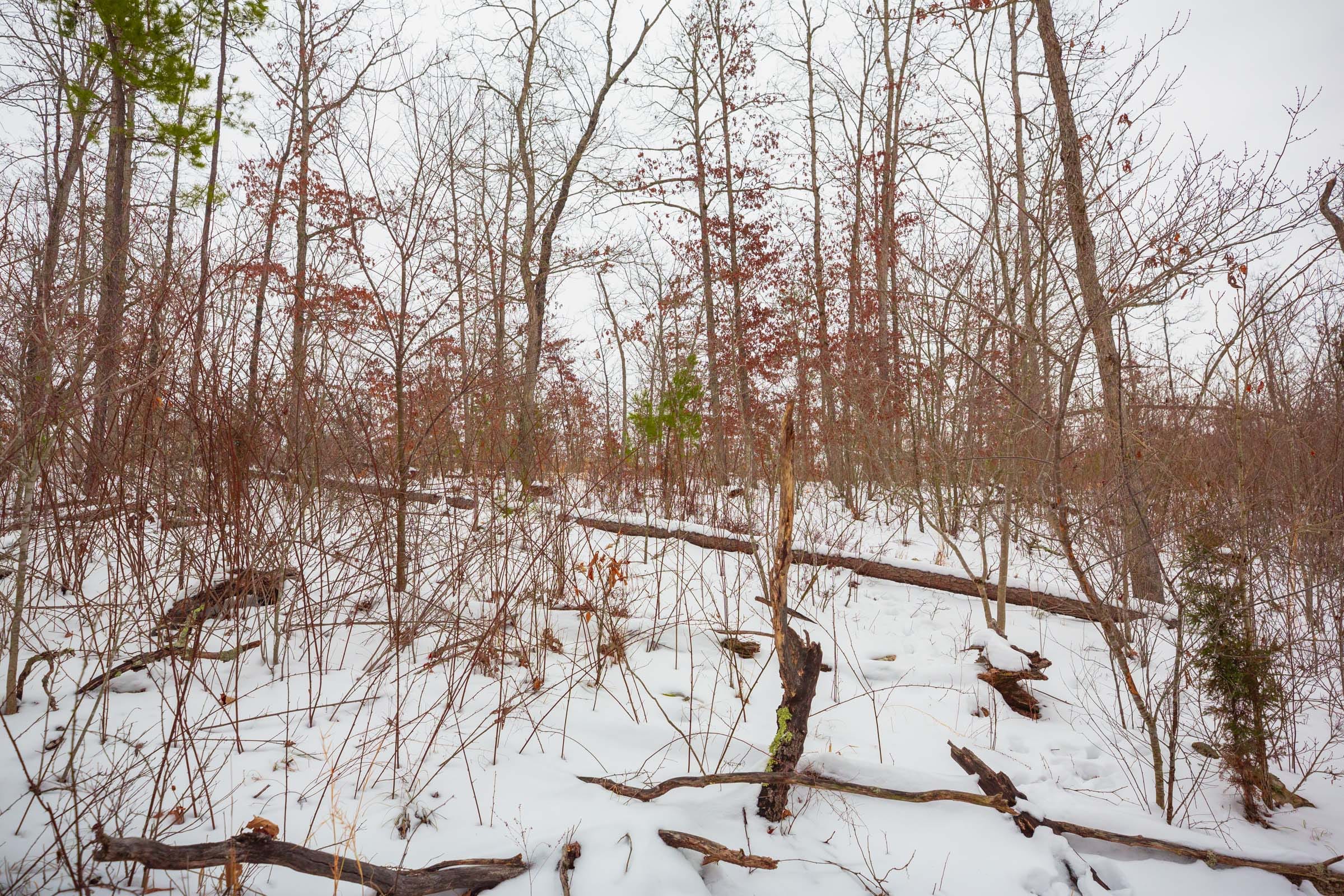Sleepy Hollow Phase I Tract 16 photo 6