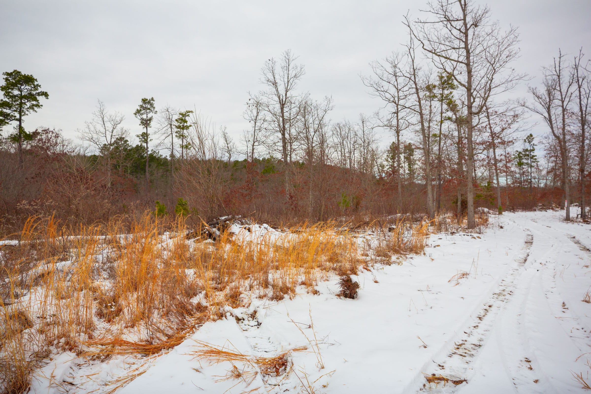 Sleepy Hollow Phase I Tract 16 photo 1