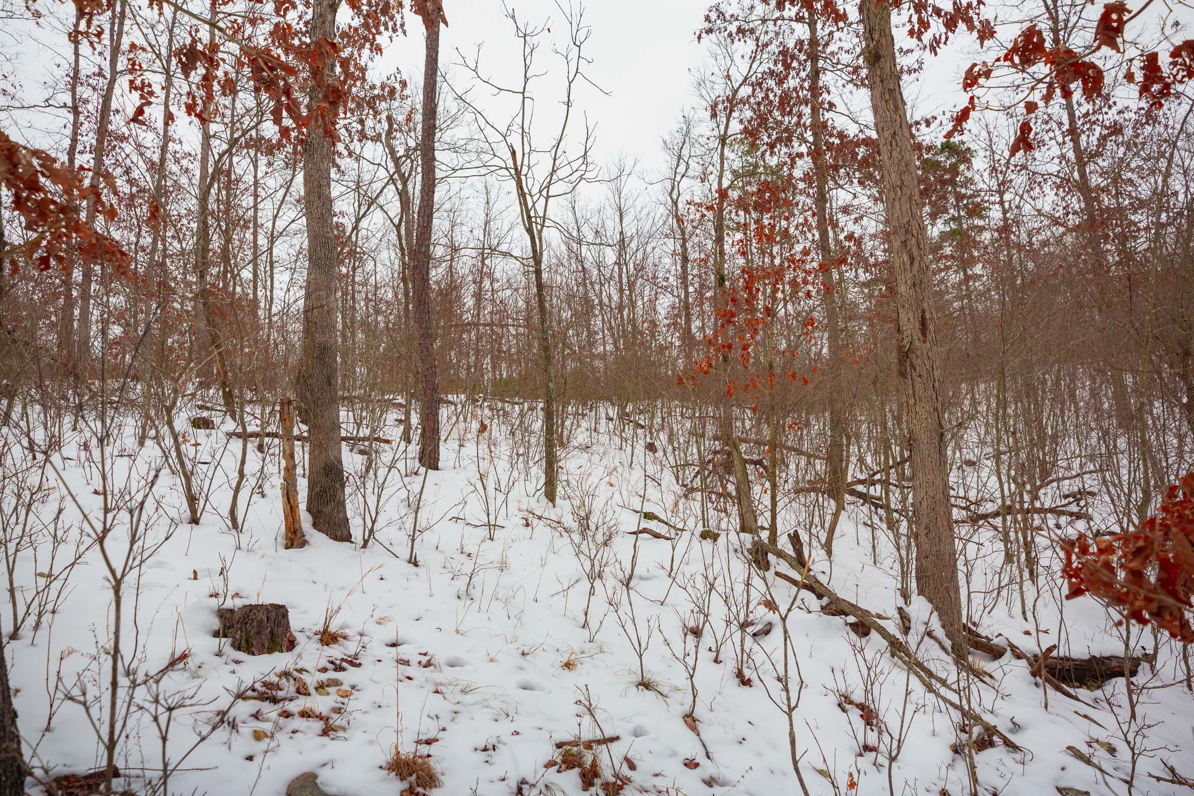Sleepy Hollow Phase I Tract 16 photo 5