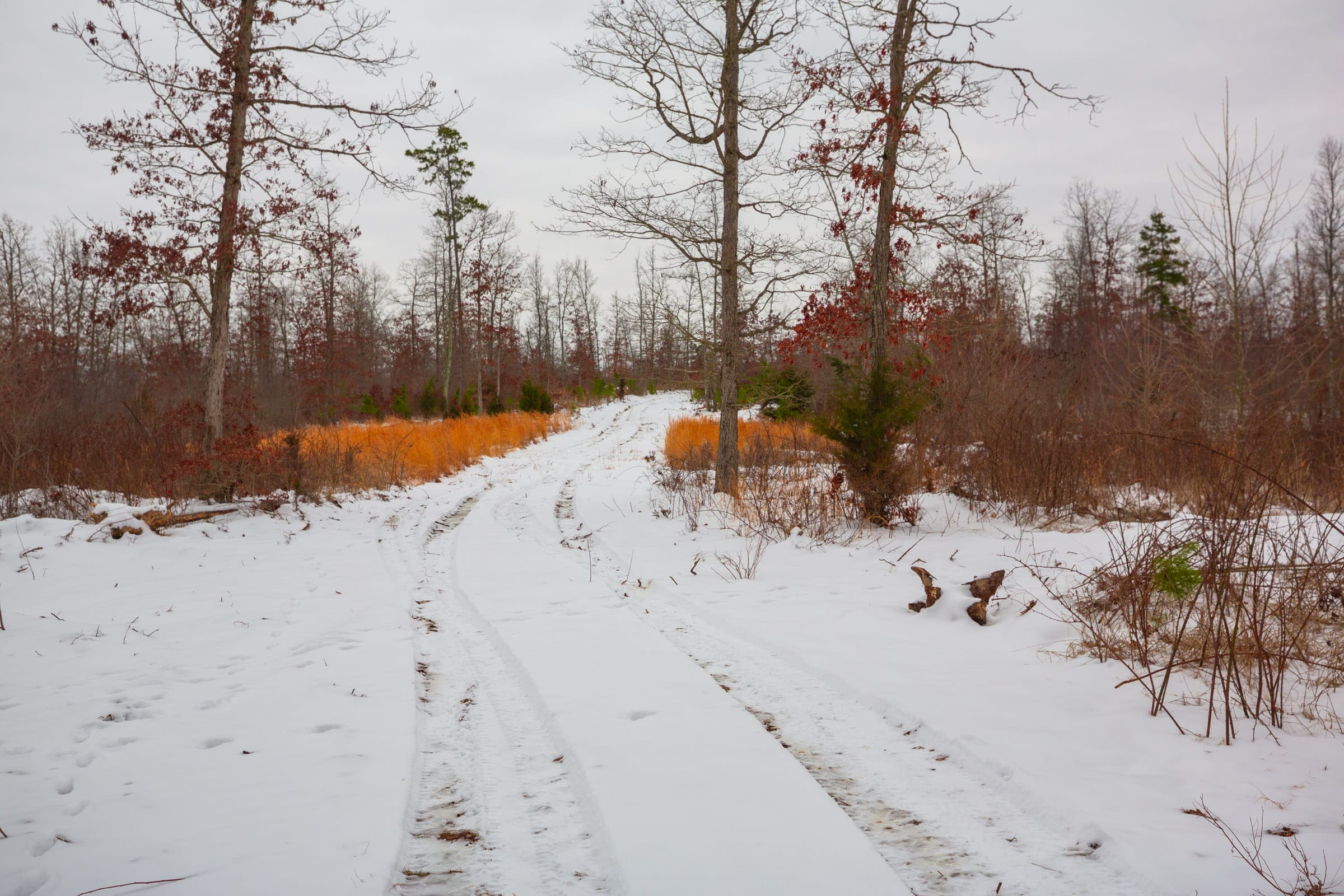 Sleepy Hollow Phase I Tract 16 photo 4
