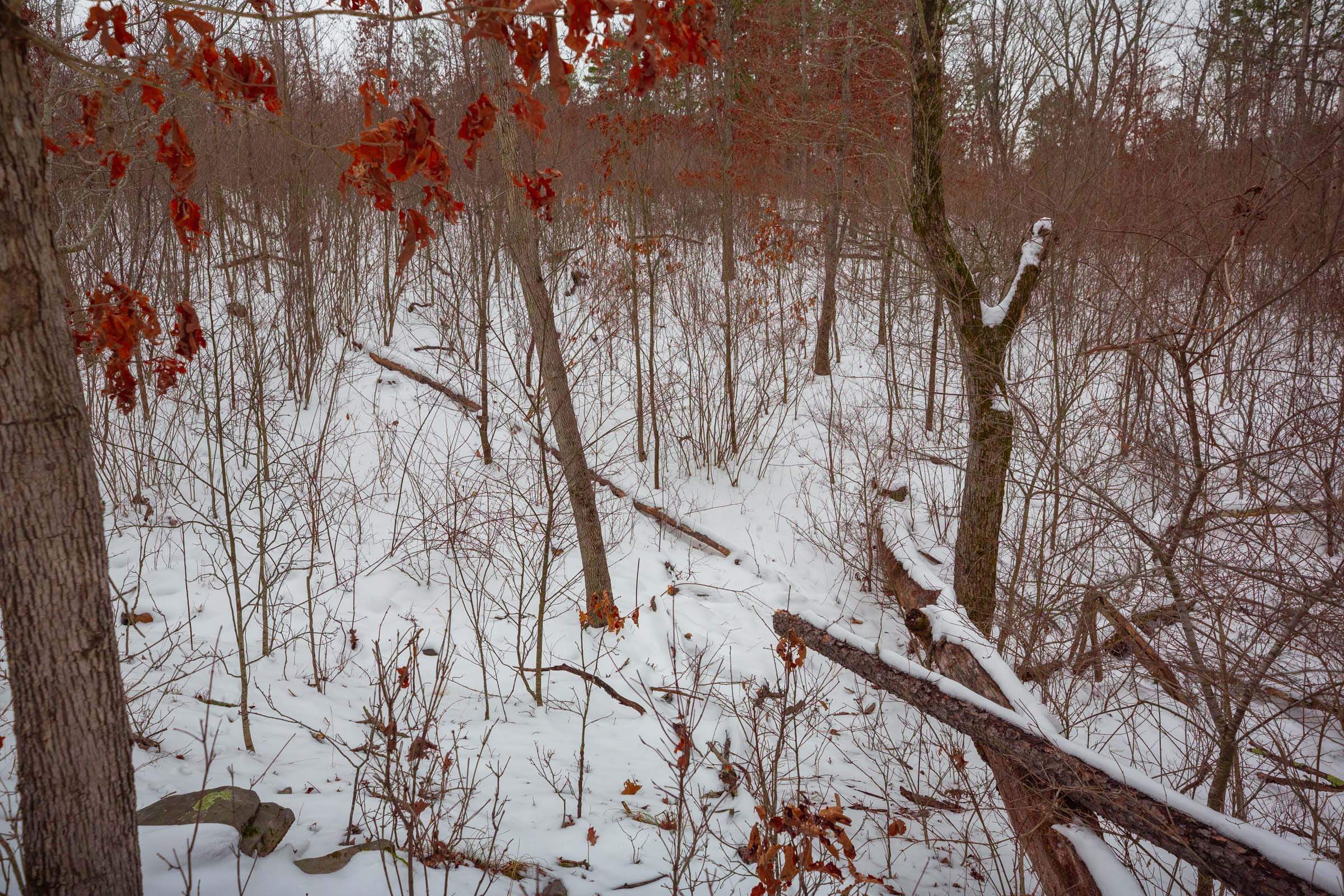 Sleepy Hollow Phase I Tract 16 photo 3