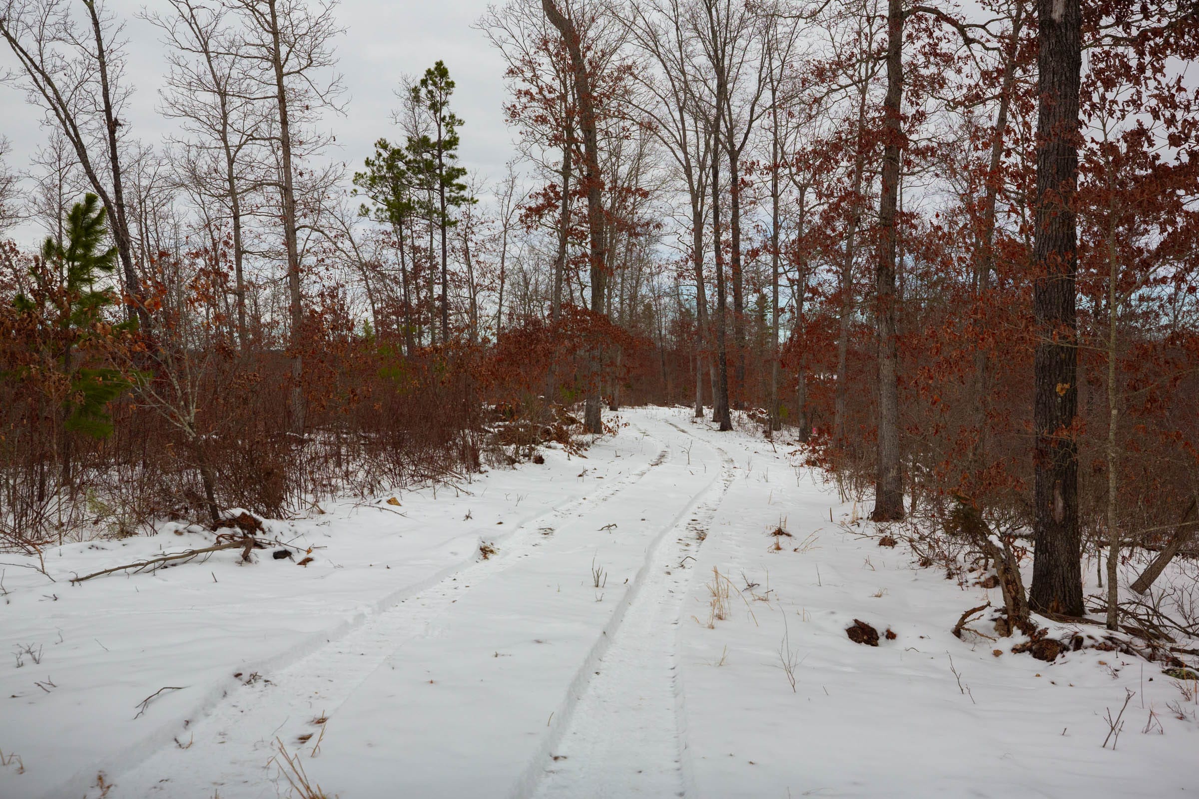 Sleepy Hollow Phase I Tract 16 photo 2