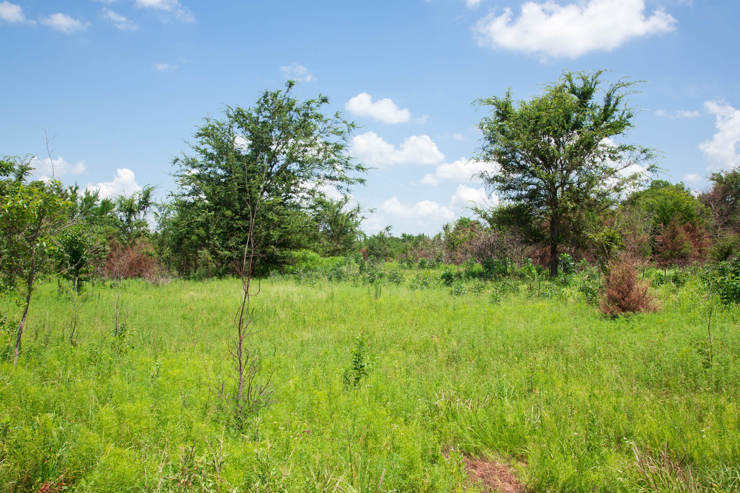Deep Fork Ranch Tract 4 photo 3