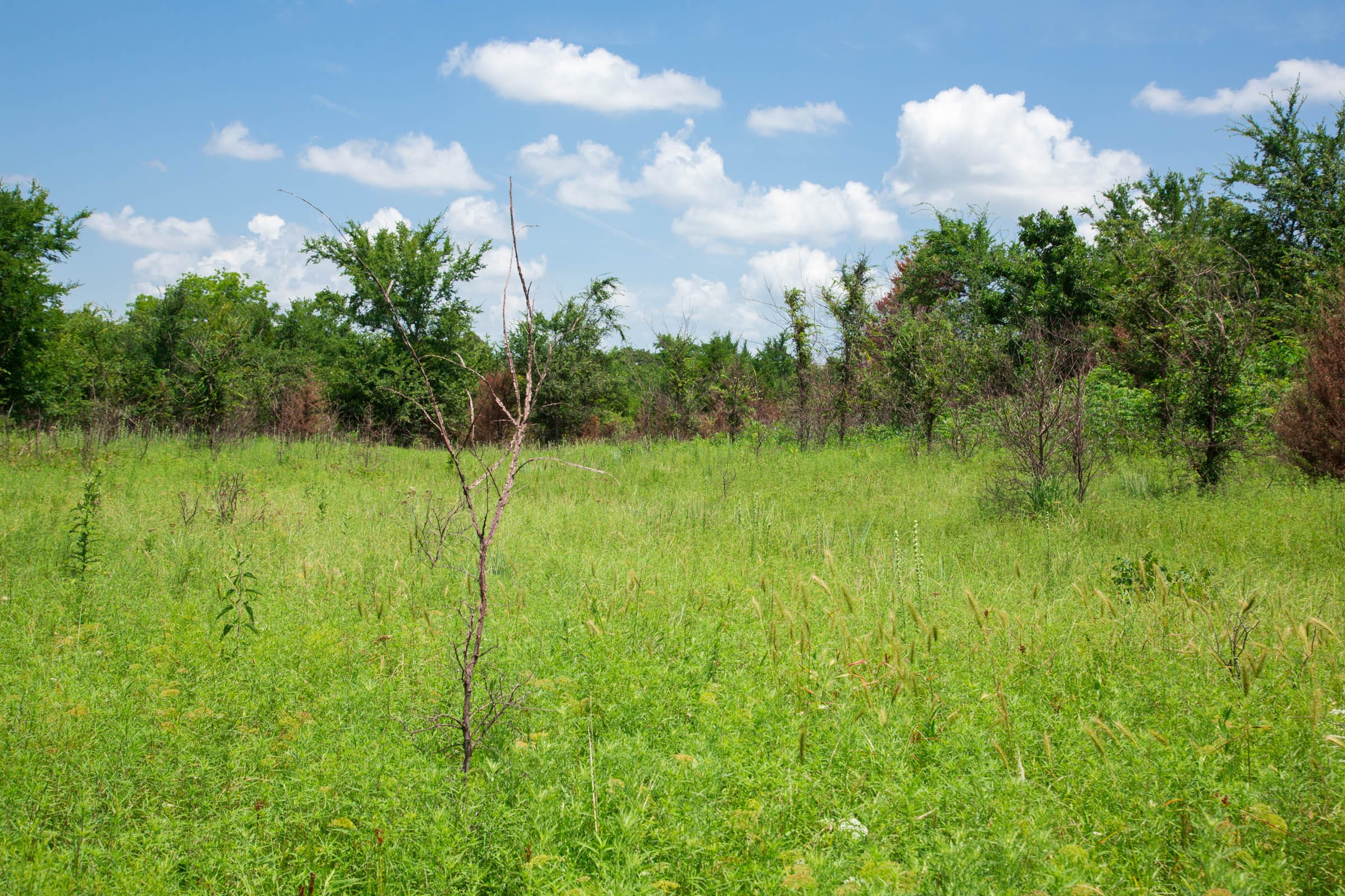 Deep Fork Ranch Tract 4 photo 6