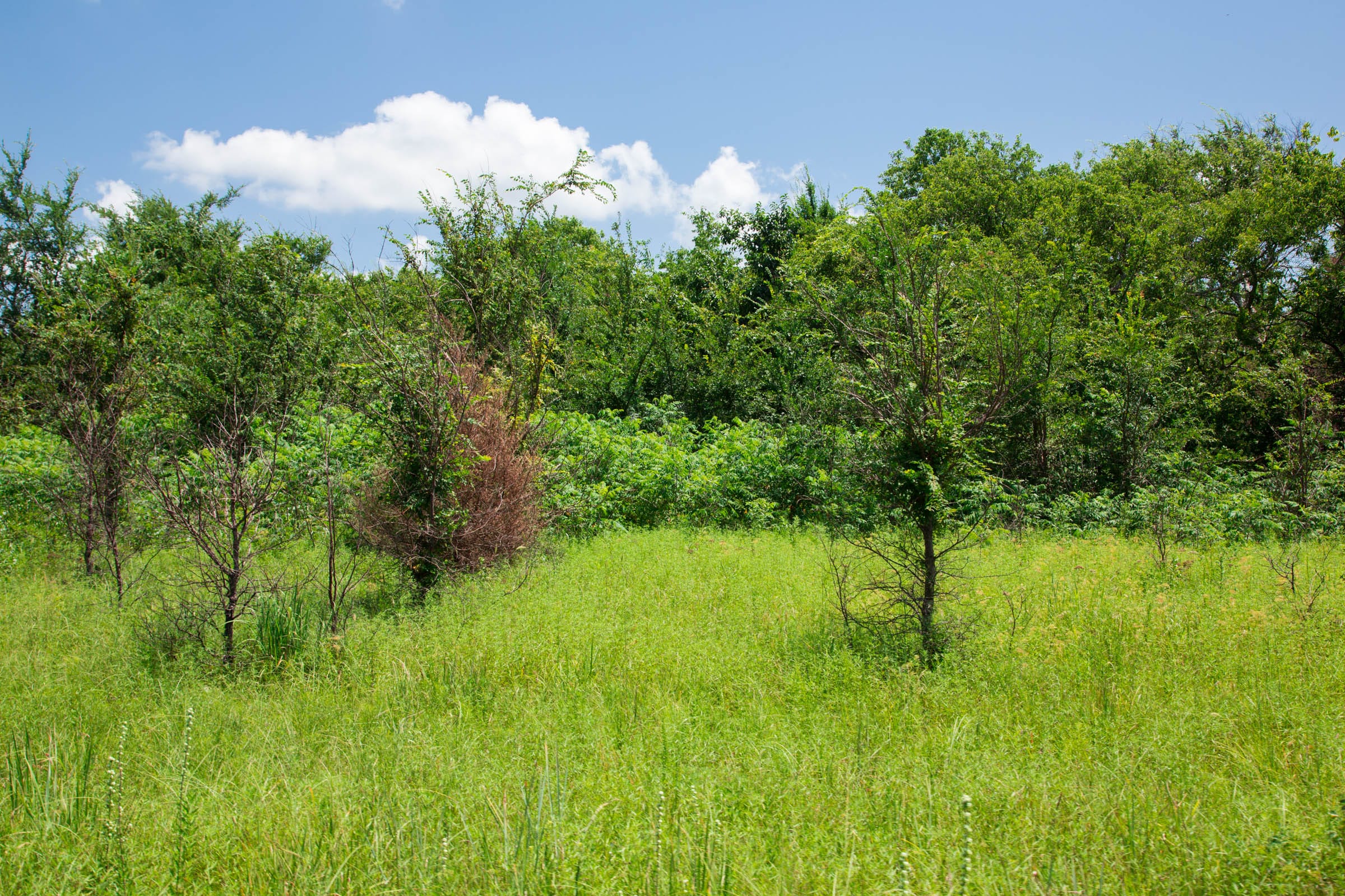 Deep Fork Ranch Tract 4 photo 7