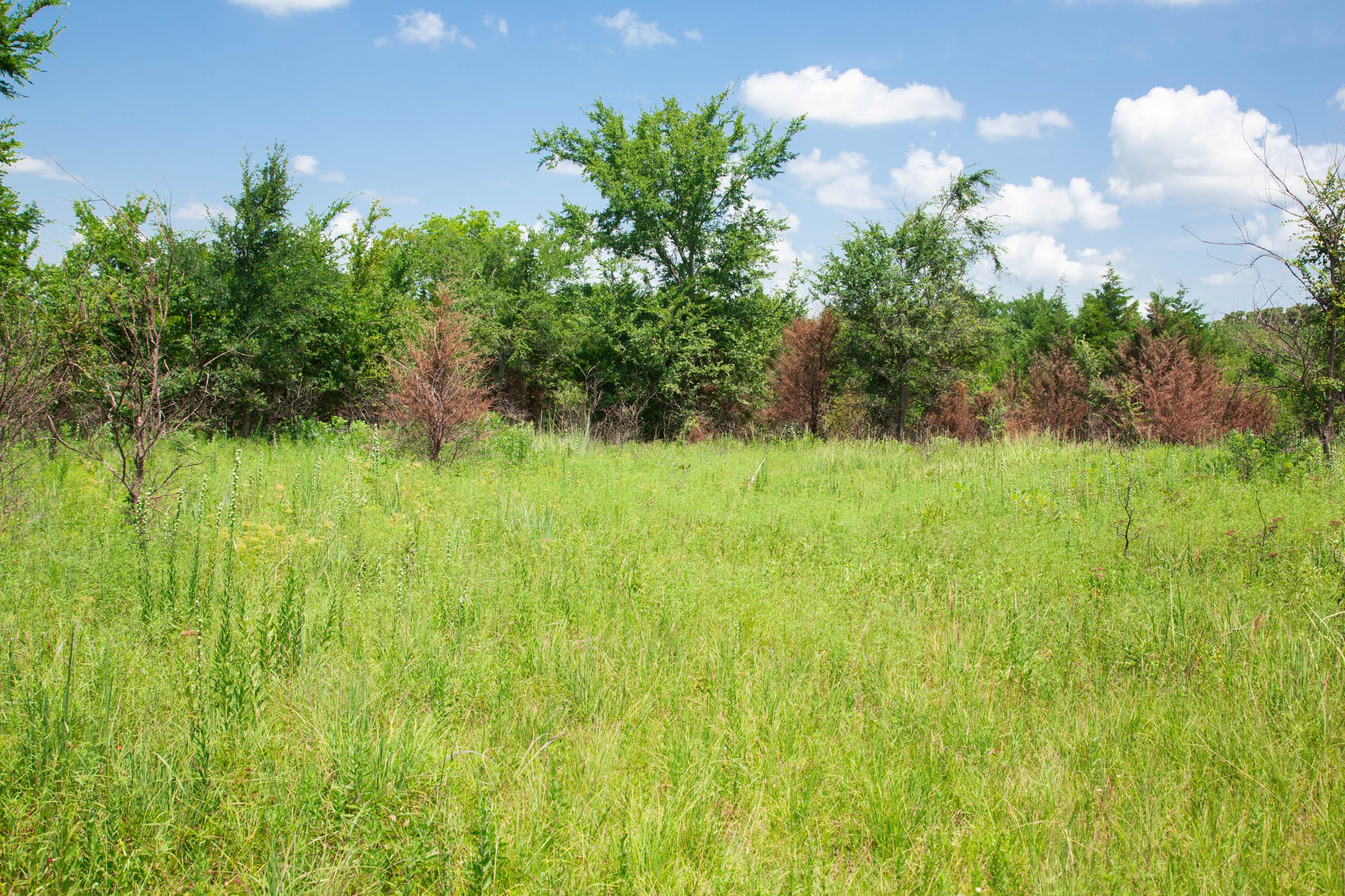 Deep Fork Ranch Tract 4 photo 8