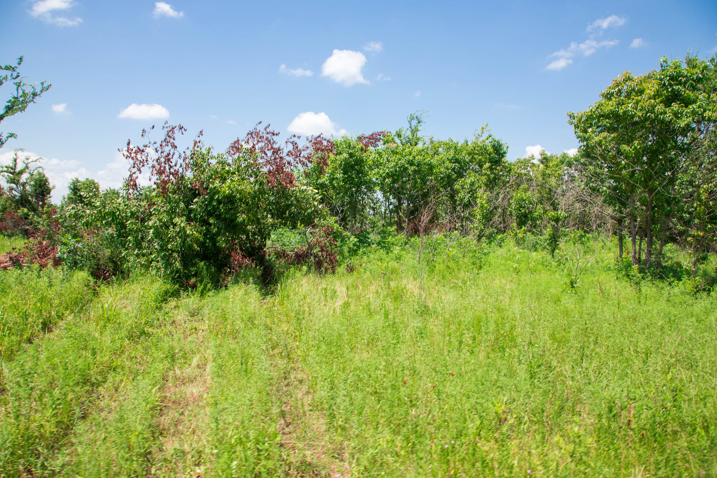 Deep Fork Ranch Tract 4 photo 11