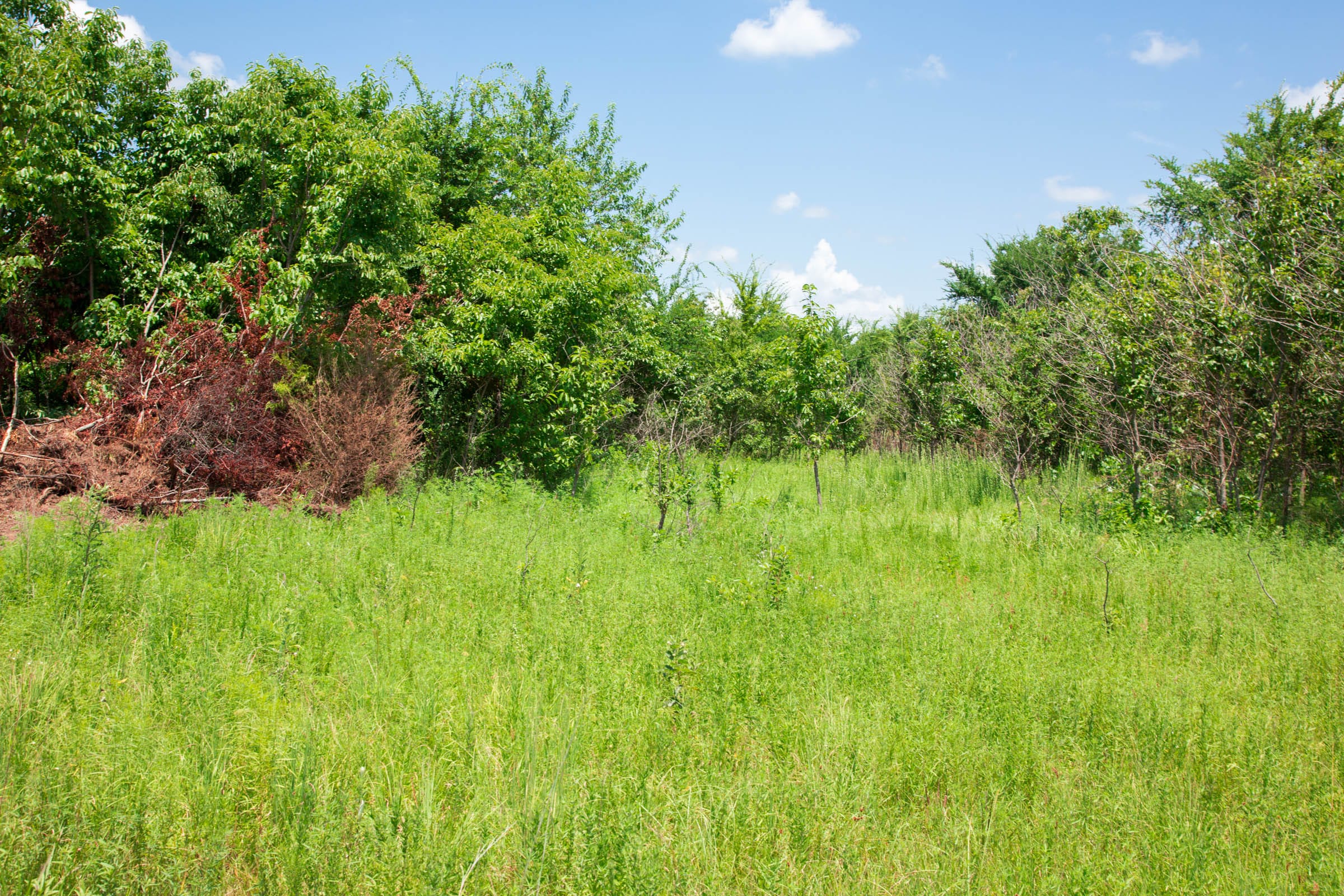 Deep Fork Ranch Tract 4 photo 12