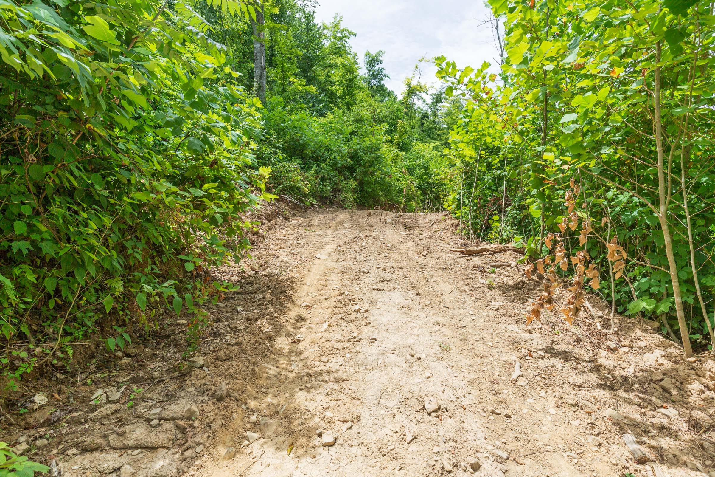 River’s Edge Tract 13 photo 7