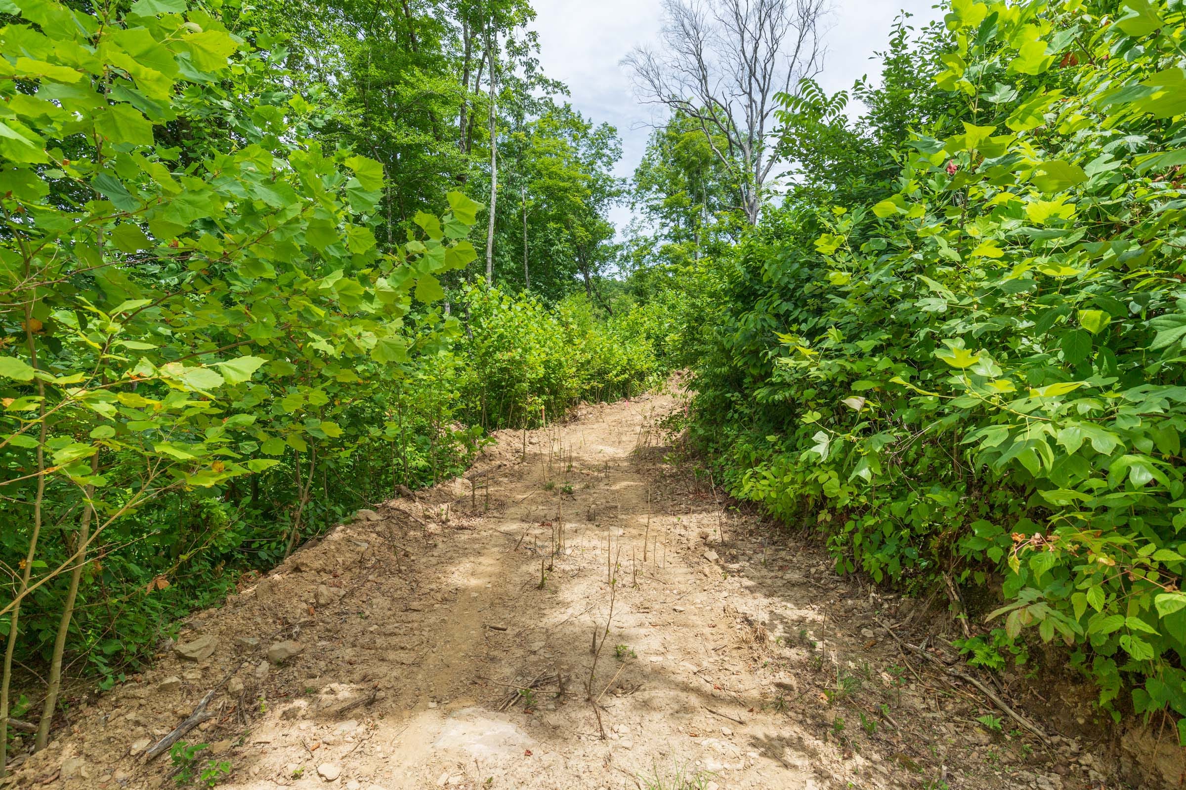 River’s Edge Tract 13 photo 1
