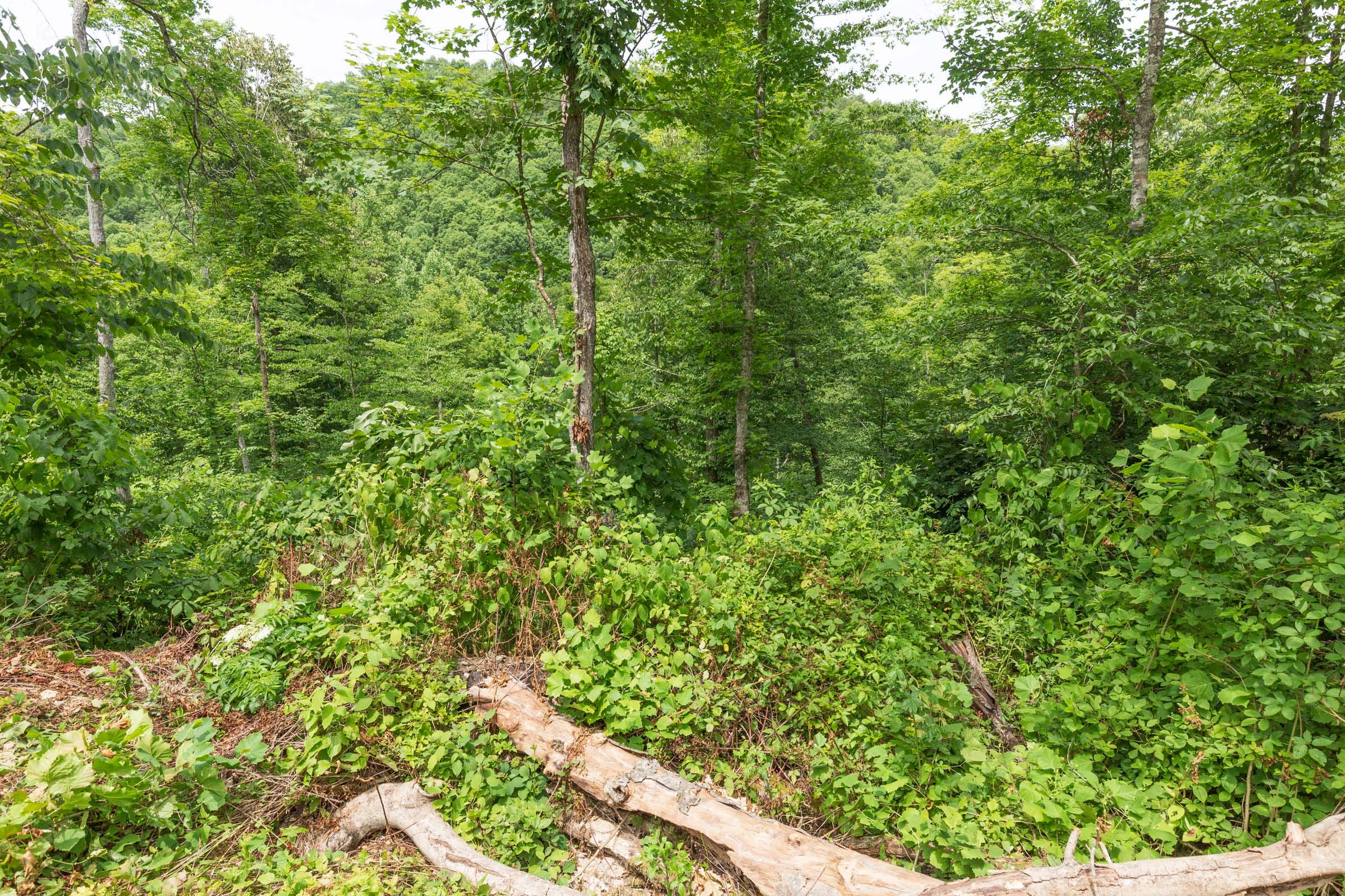 River’s Edge Tract 13 photo 8