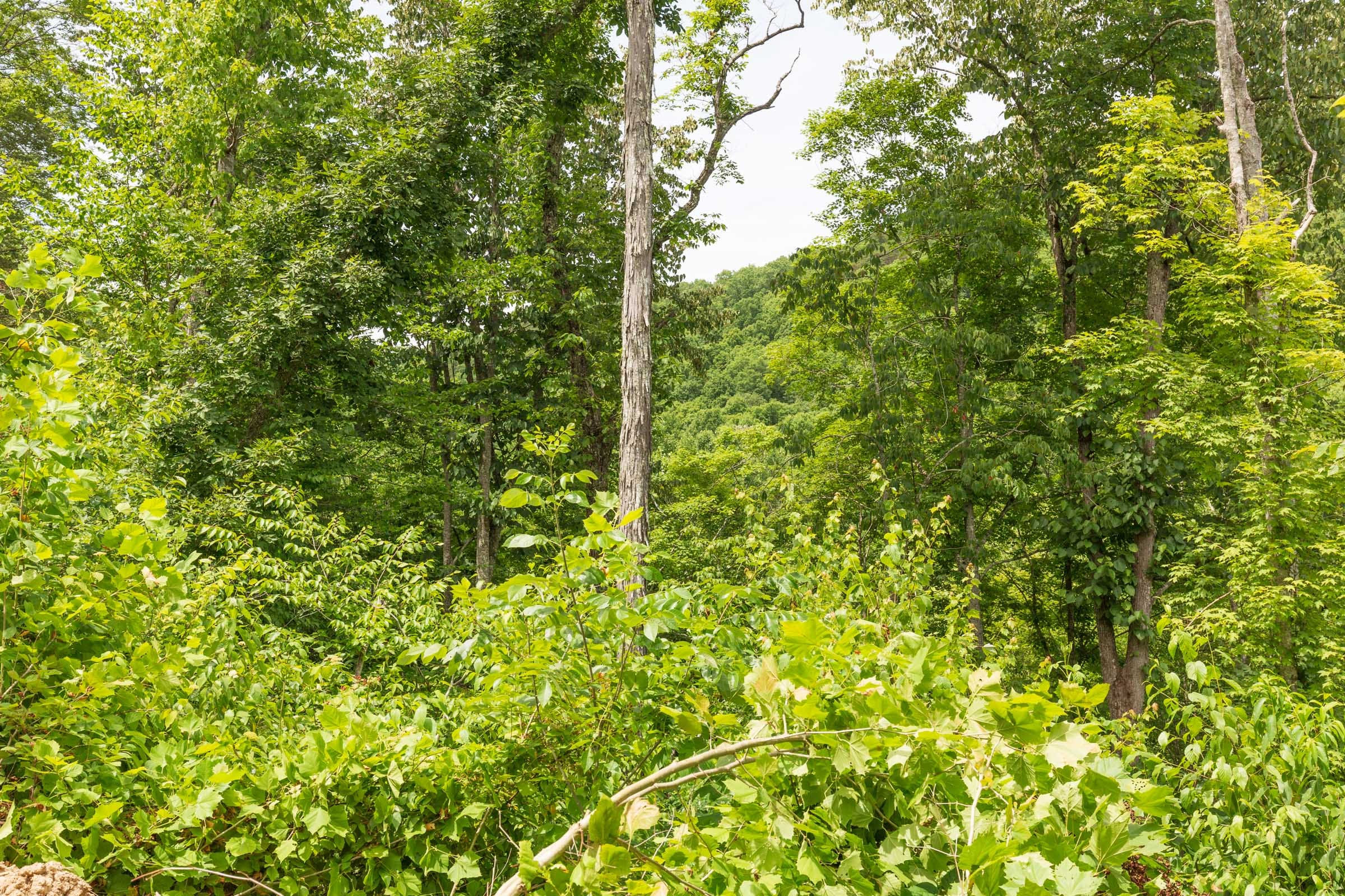 River’s Edge Tract 13 photo 11