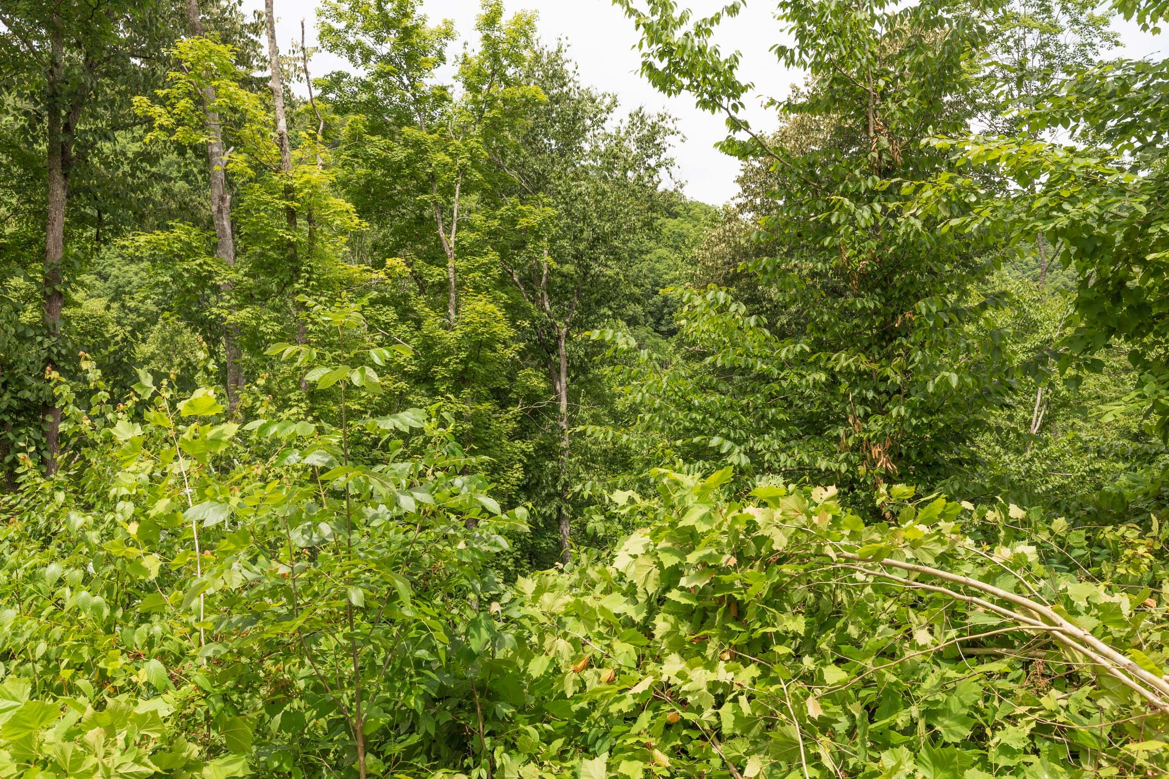 River’s Edge Tract 13 photo 13