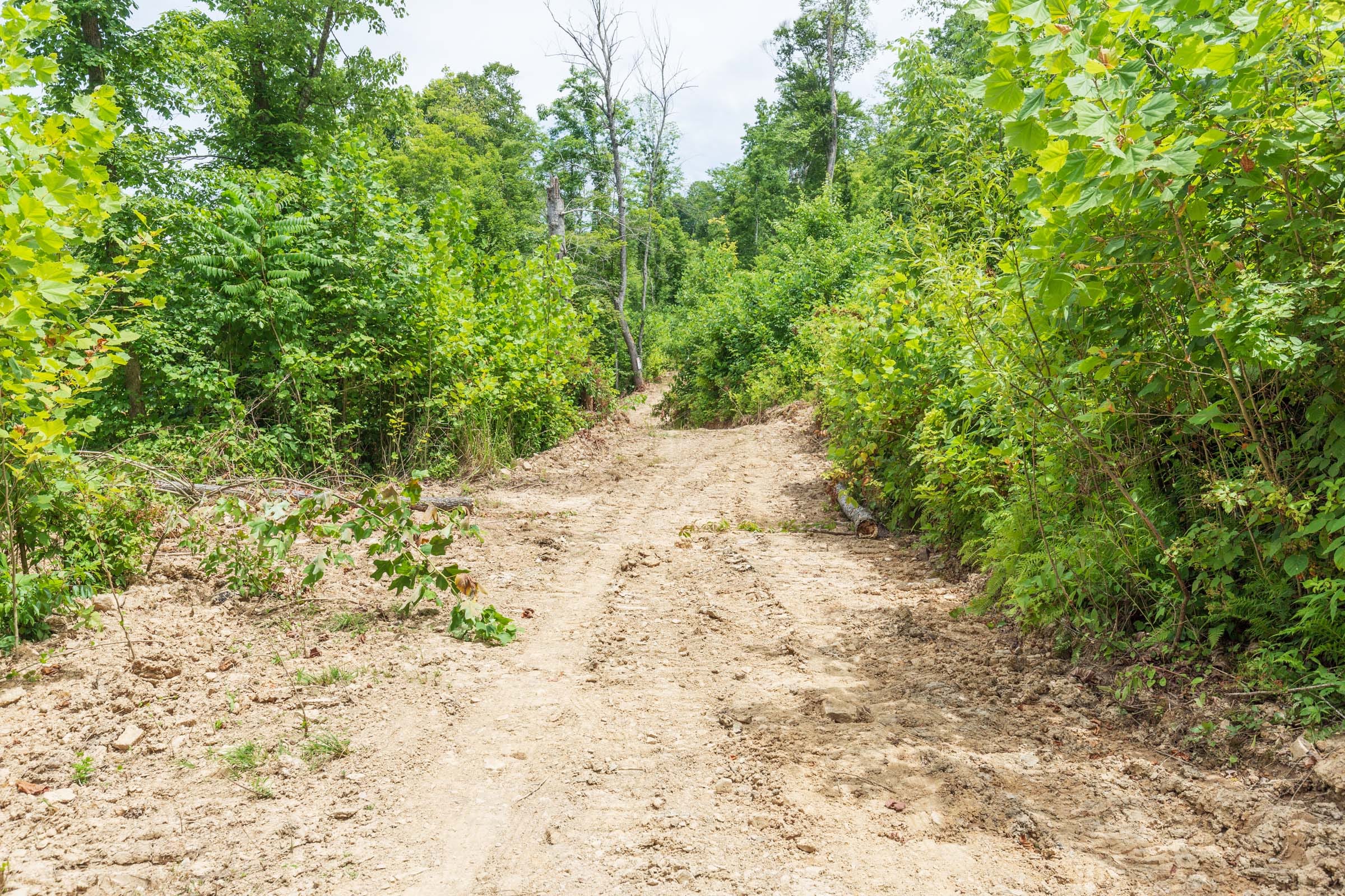 River’s Edge Tract 13 photo 12