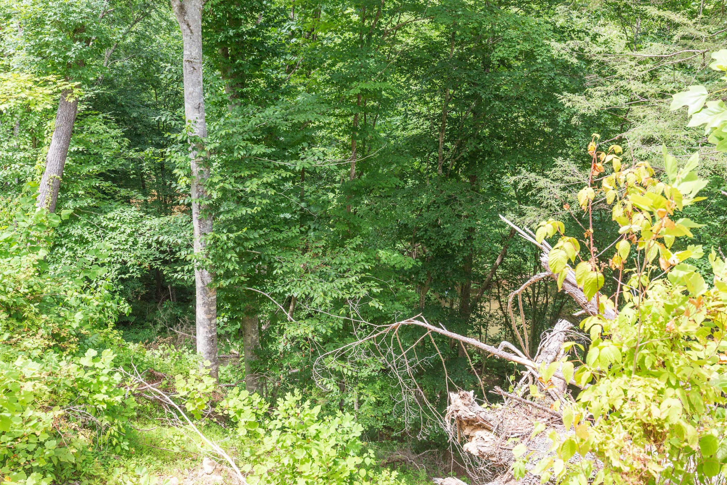 River’s Edge Tract 13 photo 14