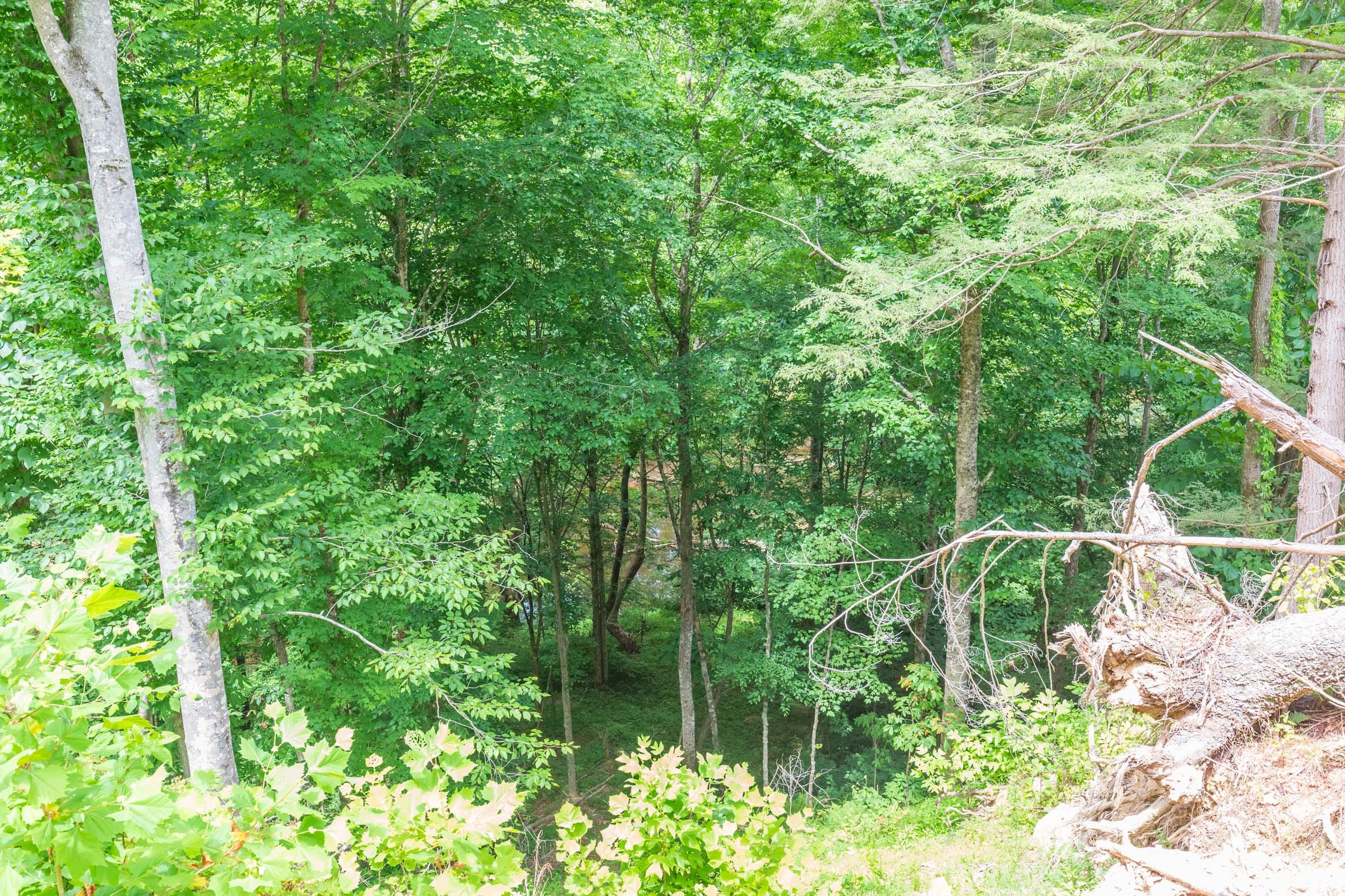 River’s Edge Tract 13 photo 15