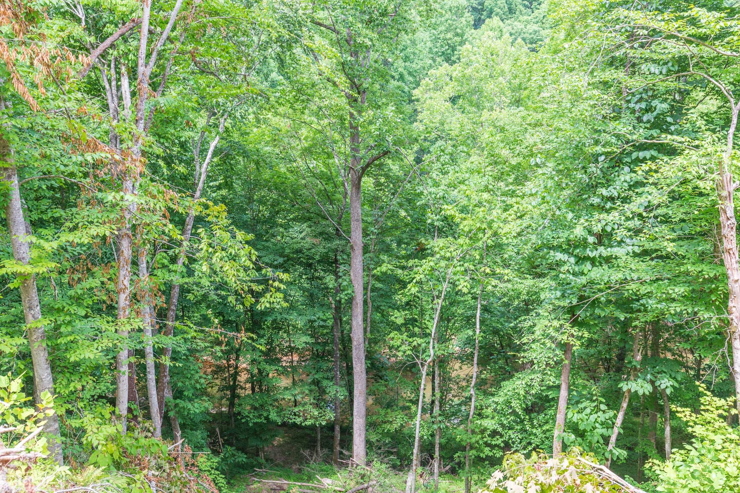 River’s Edge Tract 13 photo 18