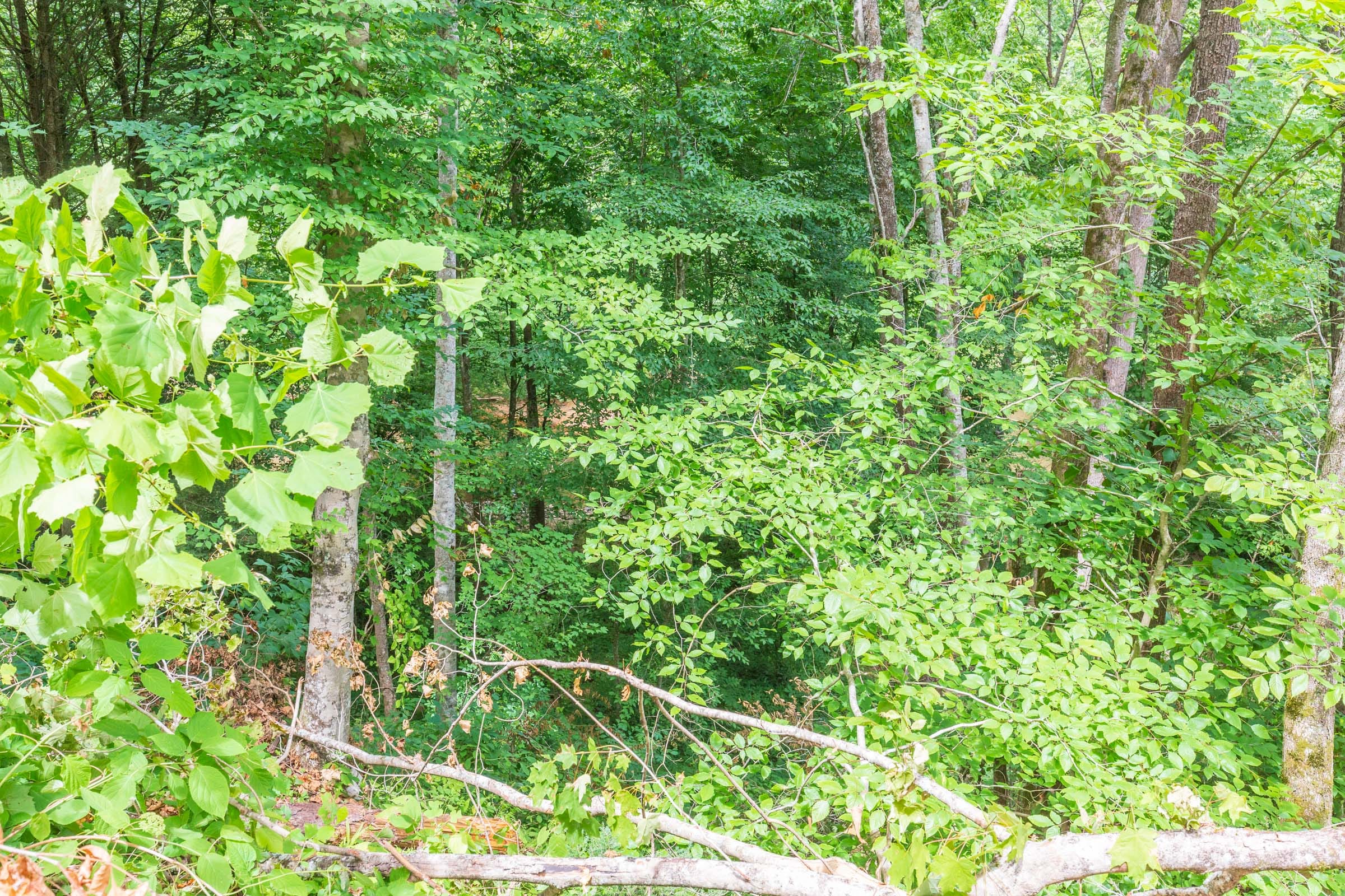 River’s Edge Tract 13 photo 19