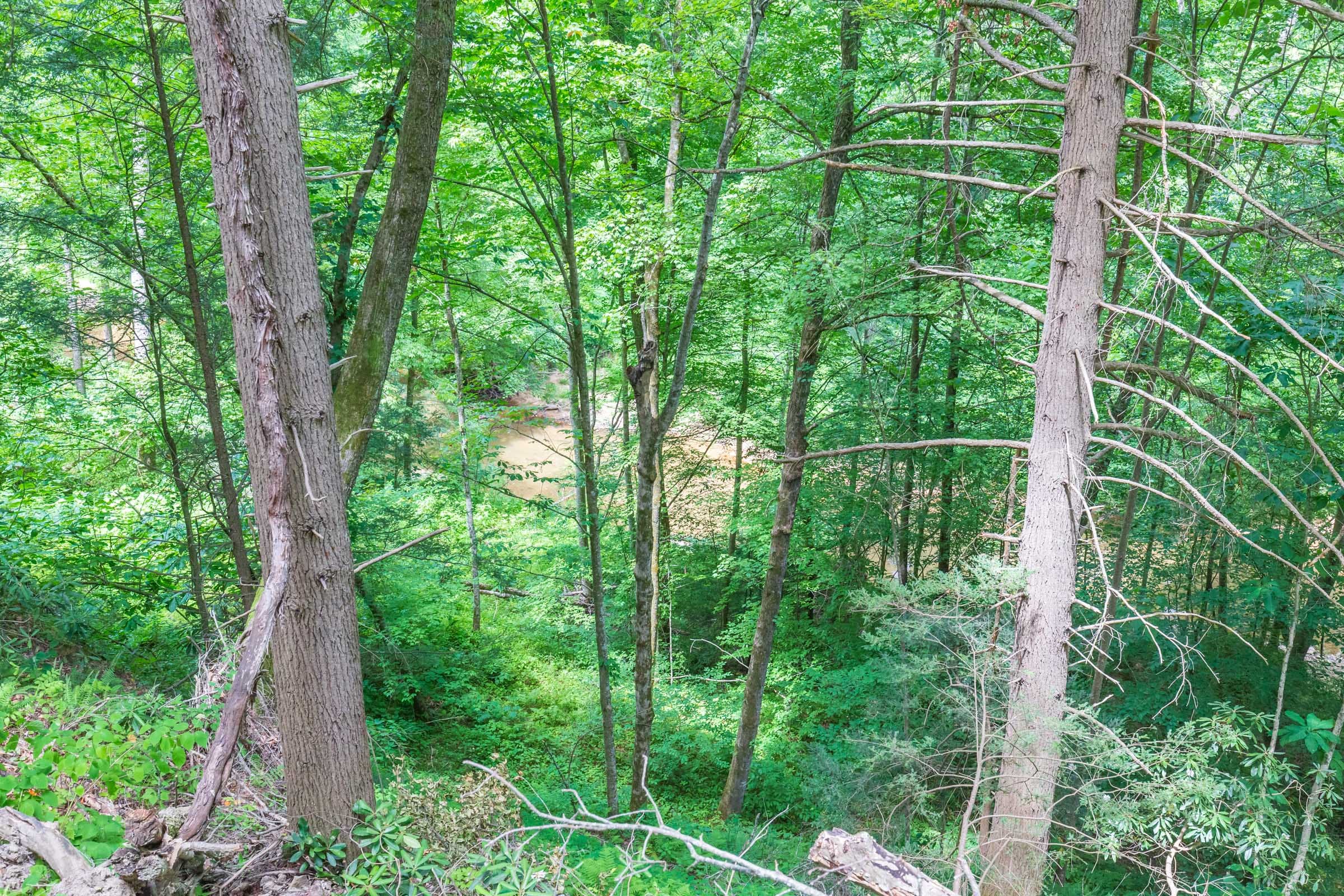 River’s Edge Tract 13 photo 20