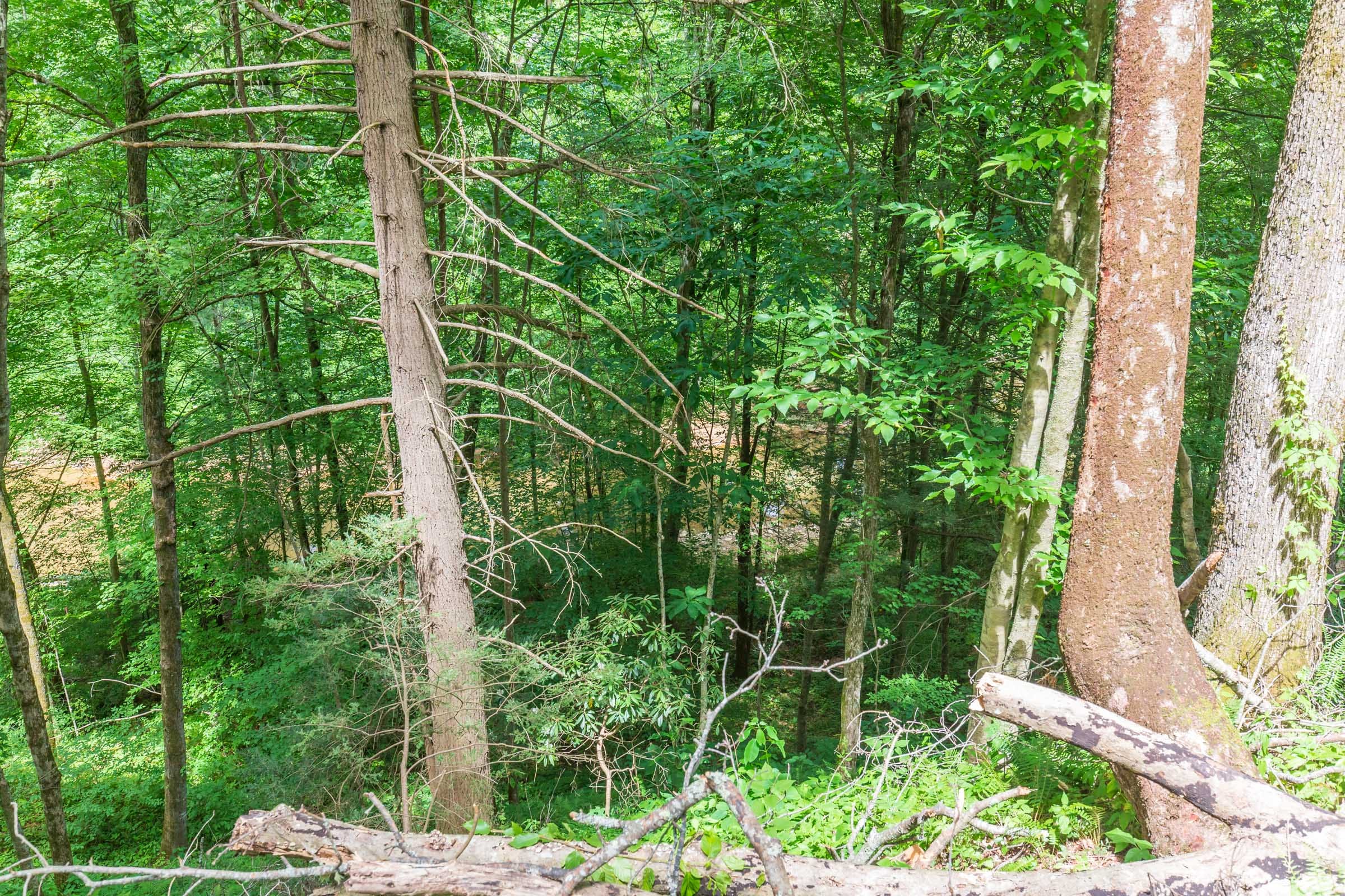 River’s Edge Tract 13 photo 21