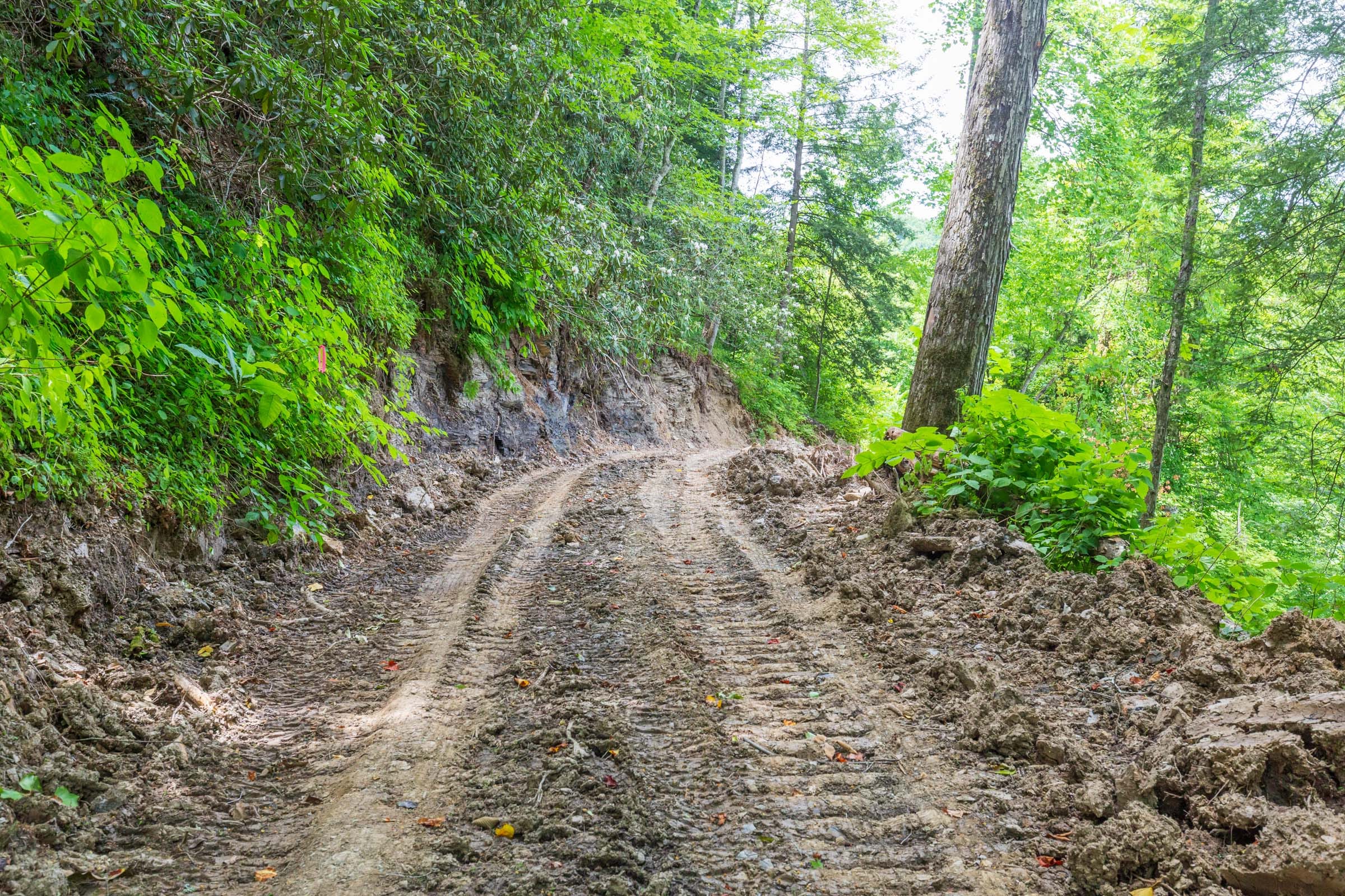 River’s Edge Tract 13 photo 22