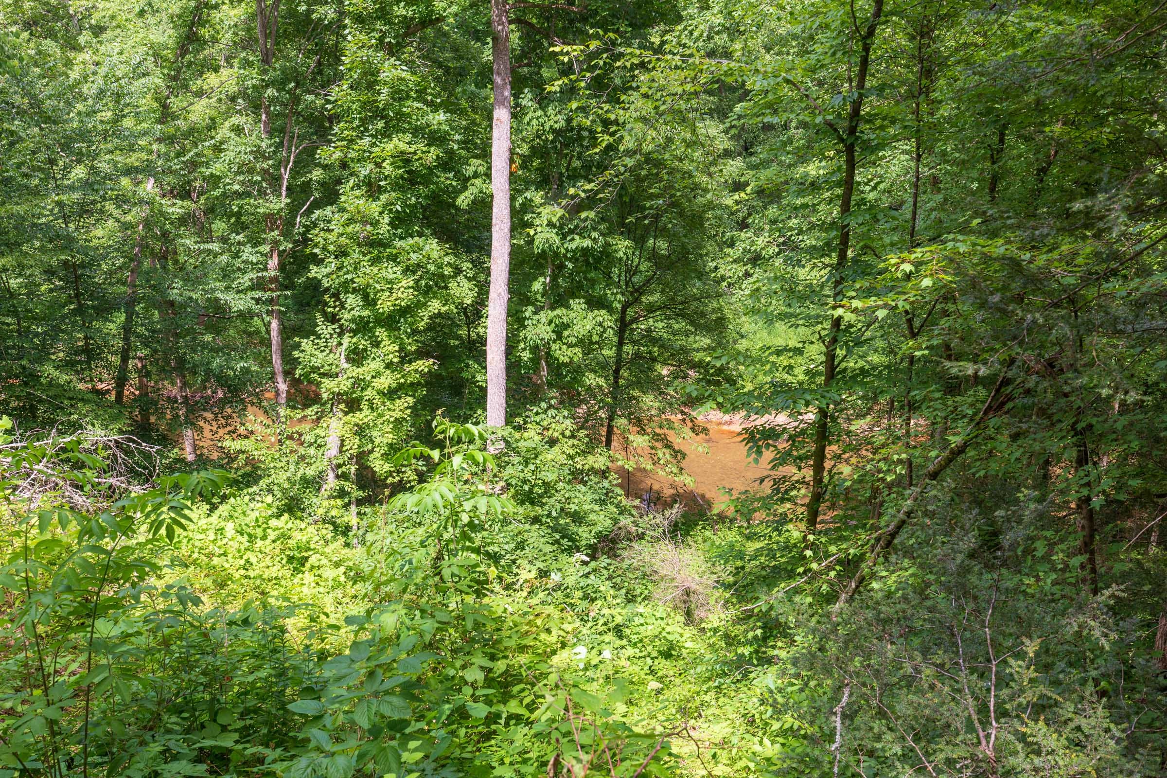River’s Edge Tract 13 photo 3