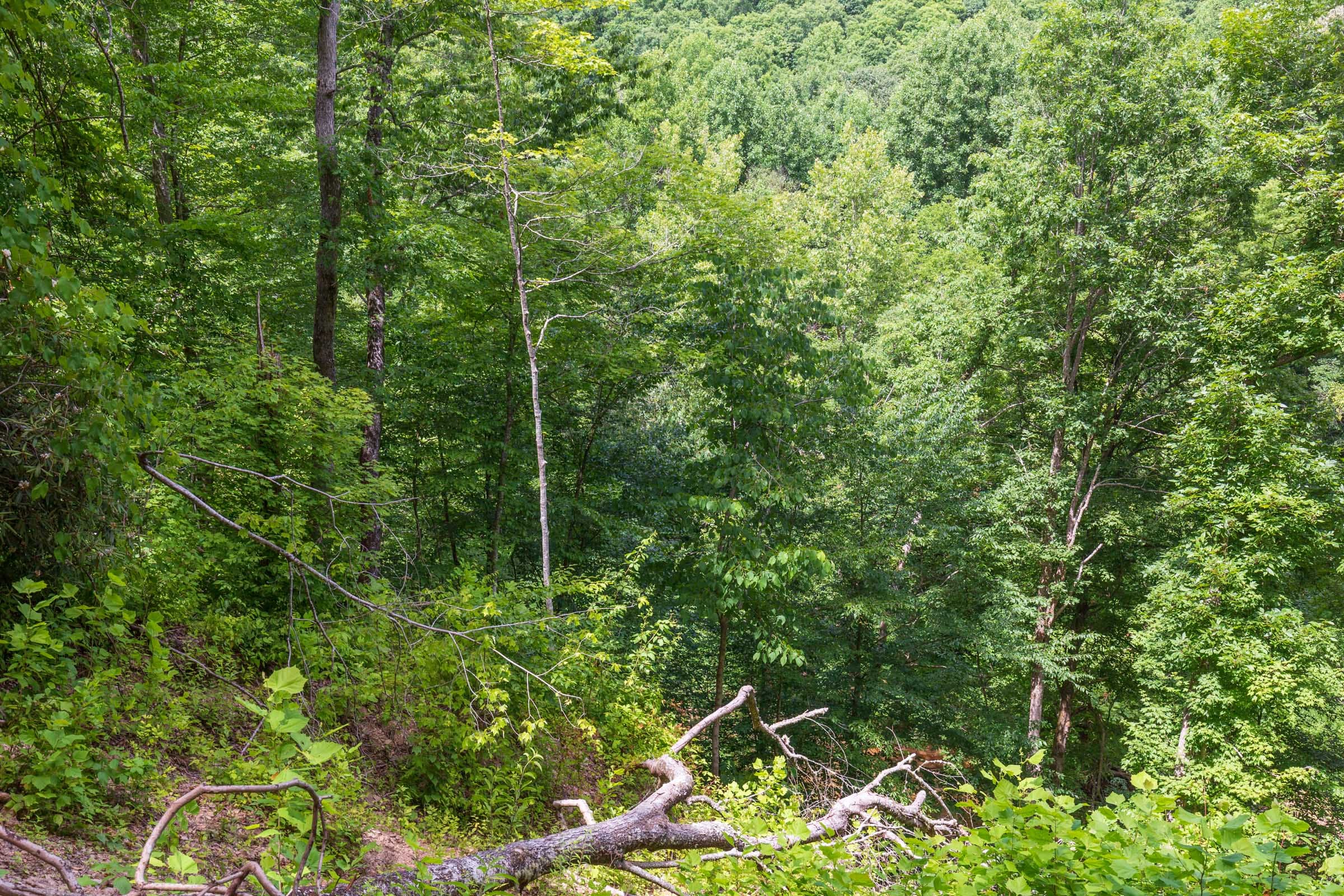 River’s Edge Tract 13 photo 23