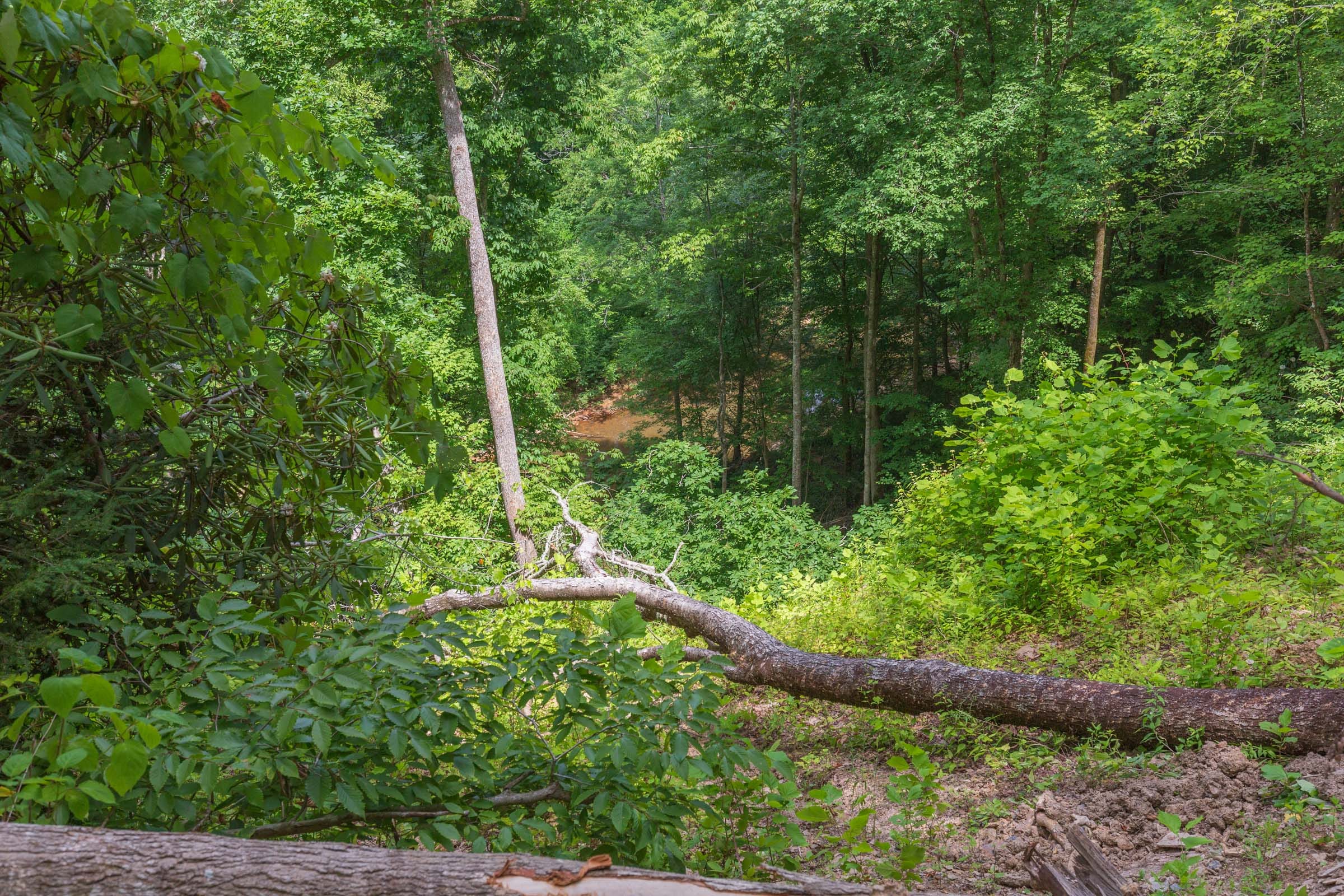 River’s Edge Tract 13 photo 24