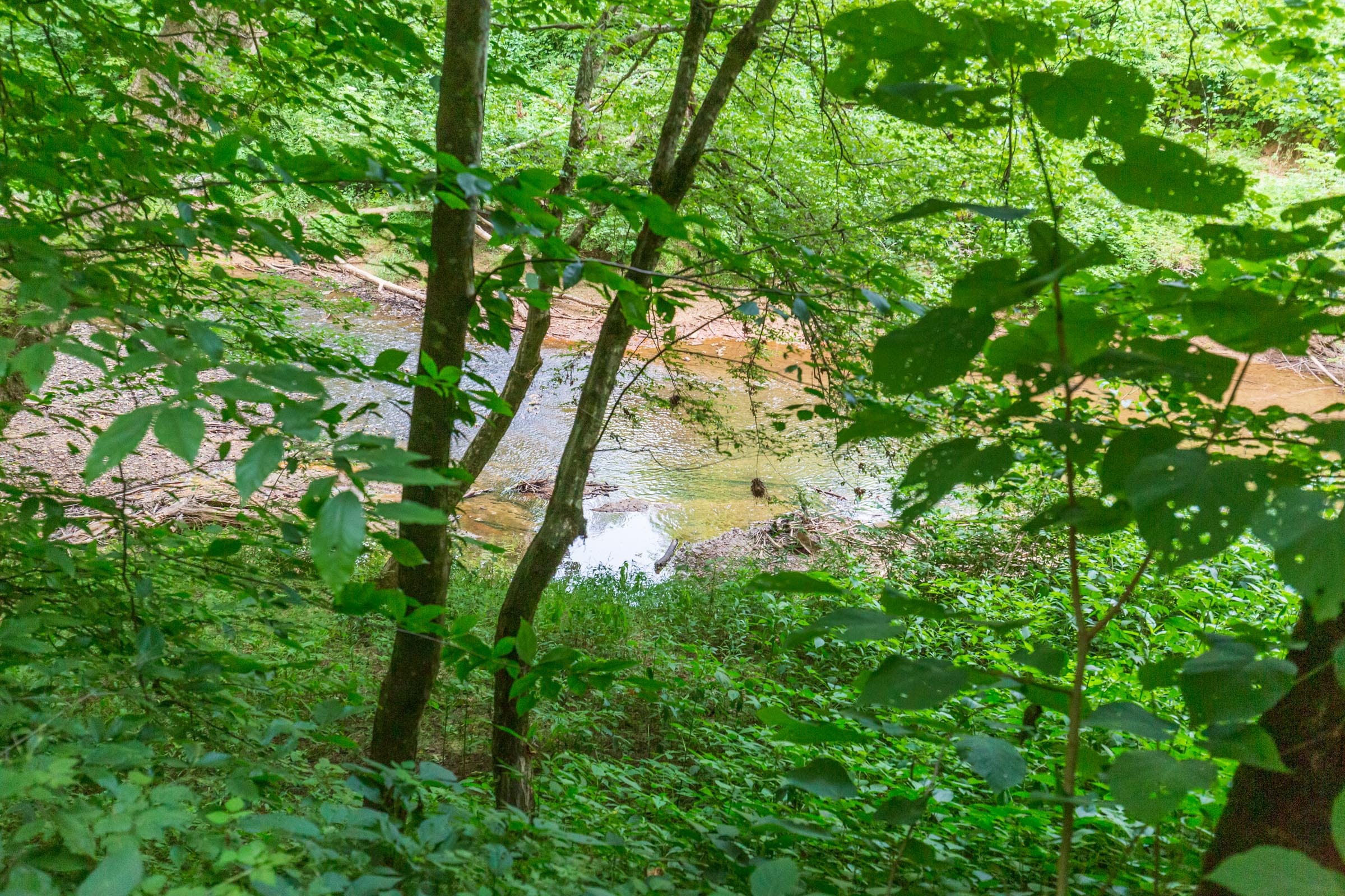 River’s Edge Tract 13 photo 2