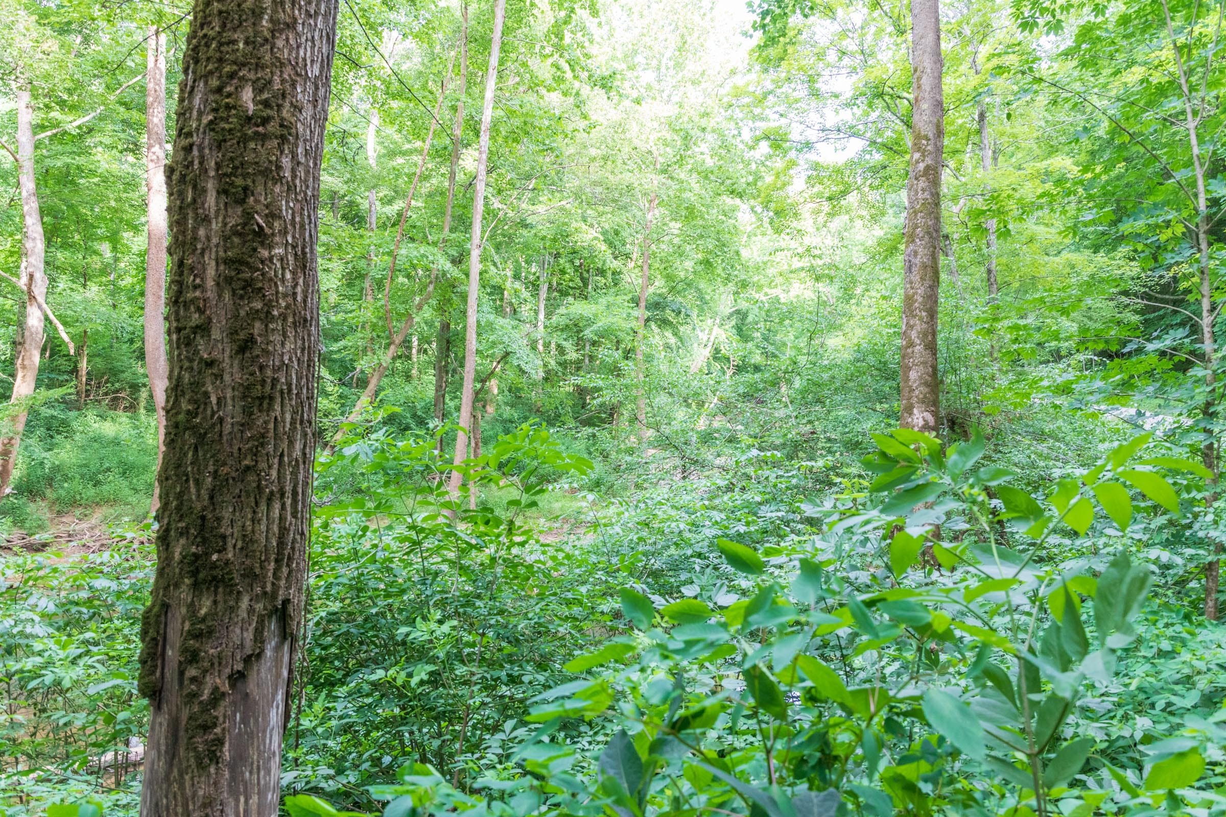 River’s Edge Tract 13 photo 25