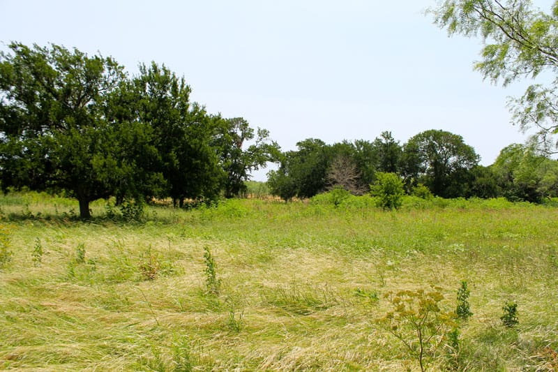 Meadowview Estates Tract 80 photo 3