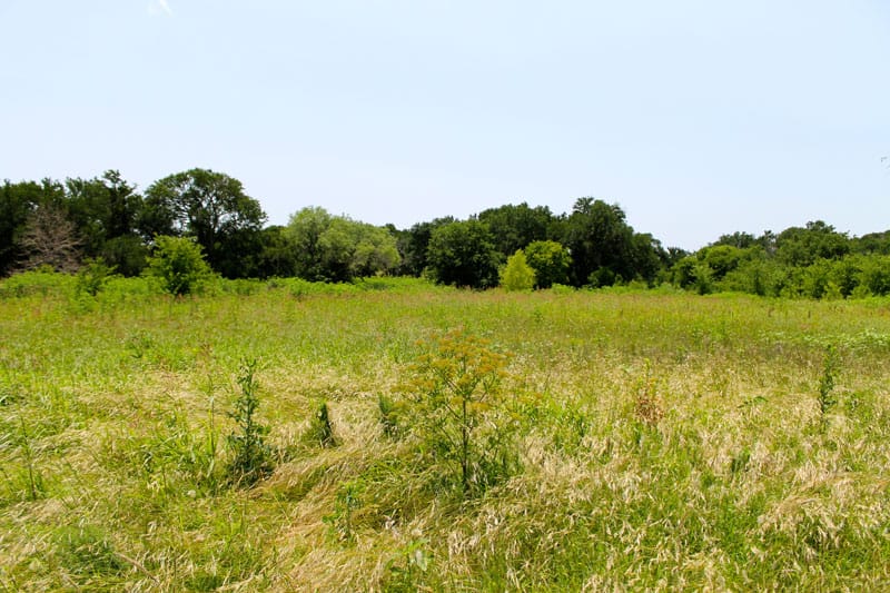 Meadowview Estates Tract 80 photo 5