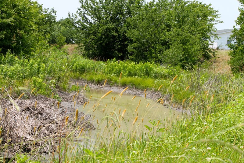 Meadowview Estates Tract 80 photo 6
