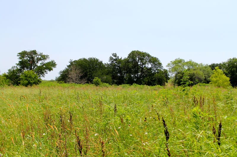 Meadowview Estates Tract 80 photo 8