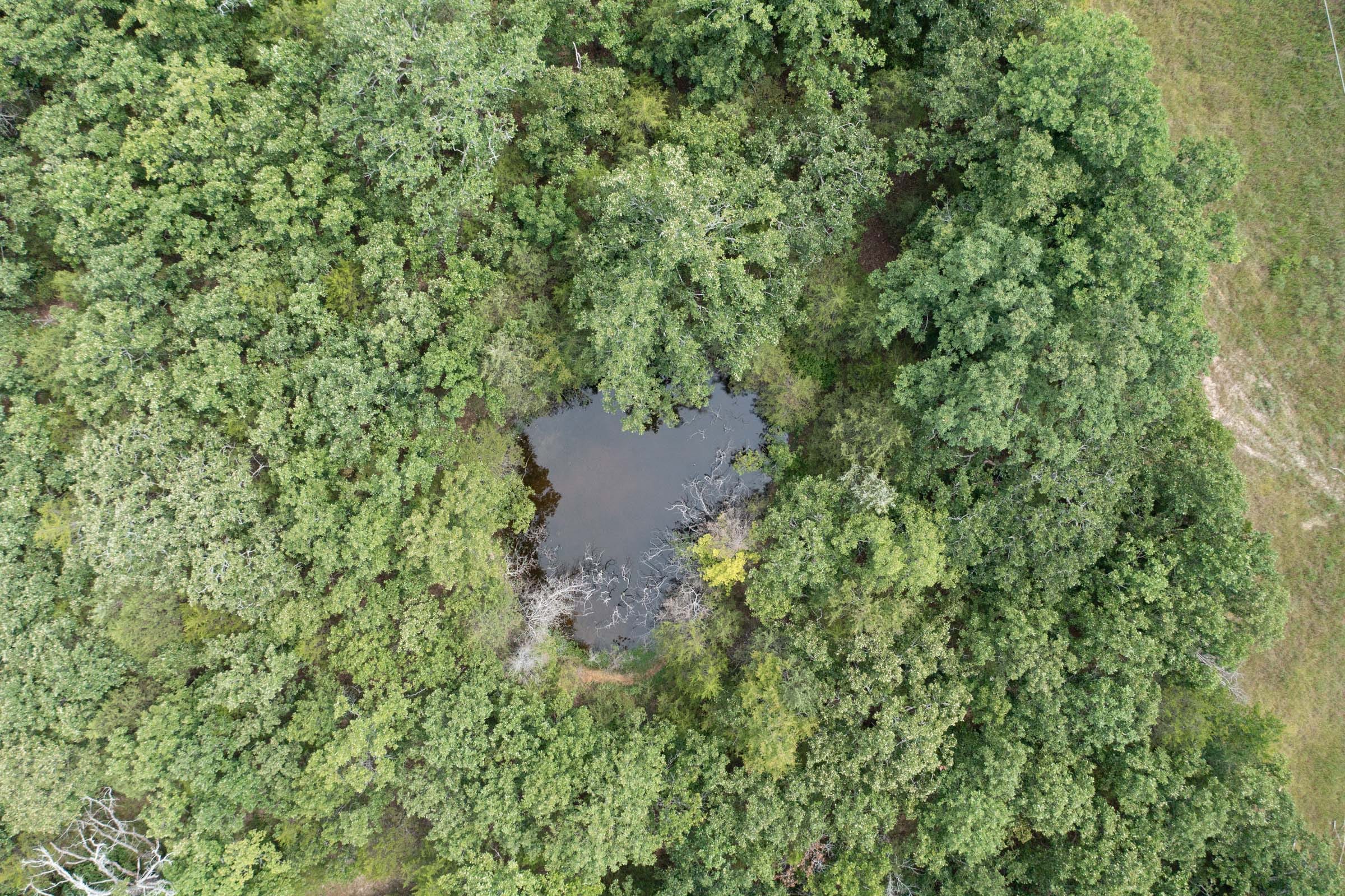 Wildwood Tract 27 photo 1