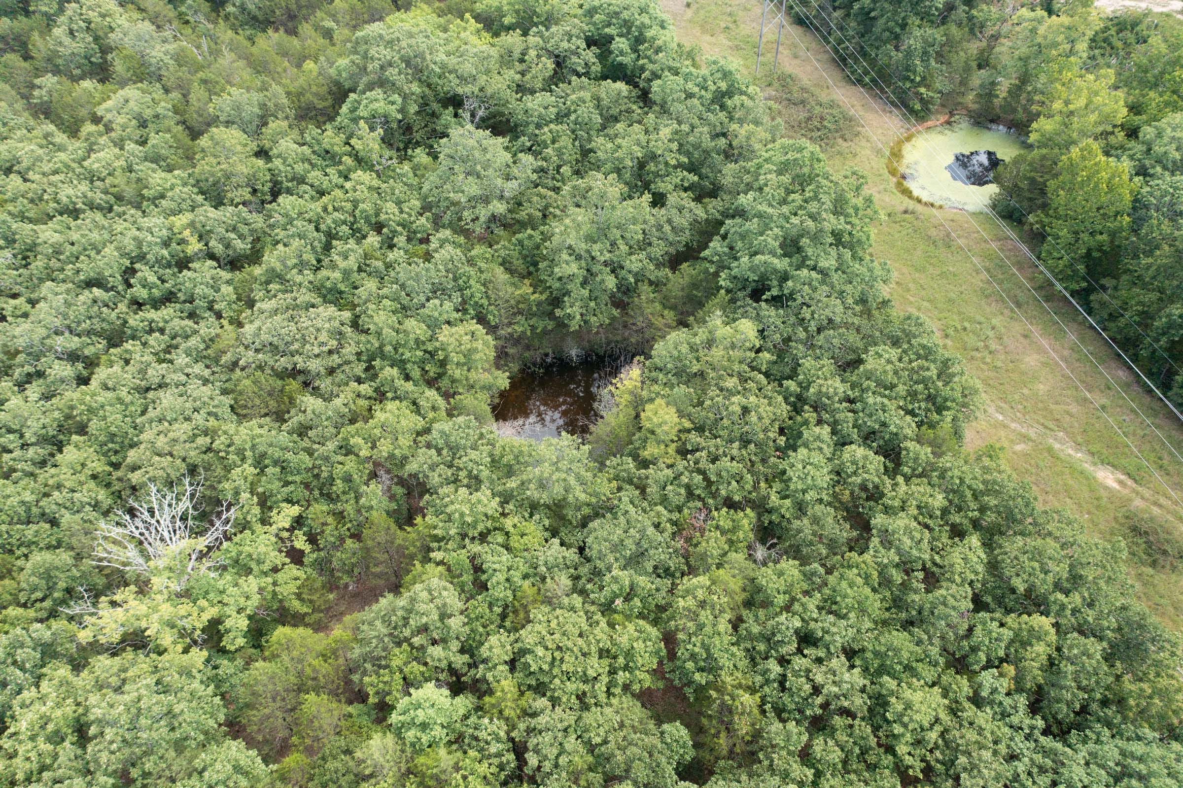 Wildwood Tract 27 photo 4