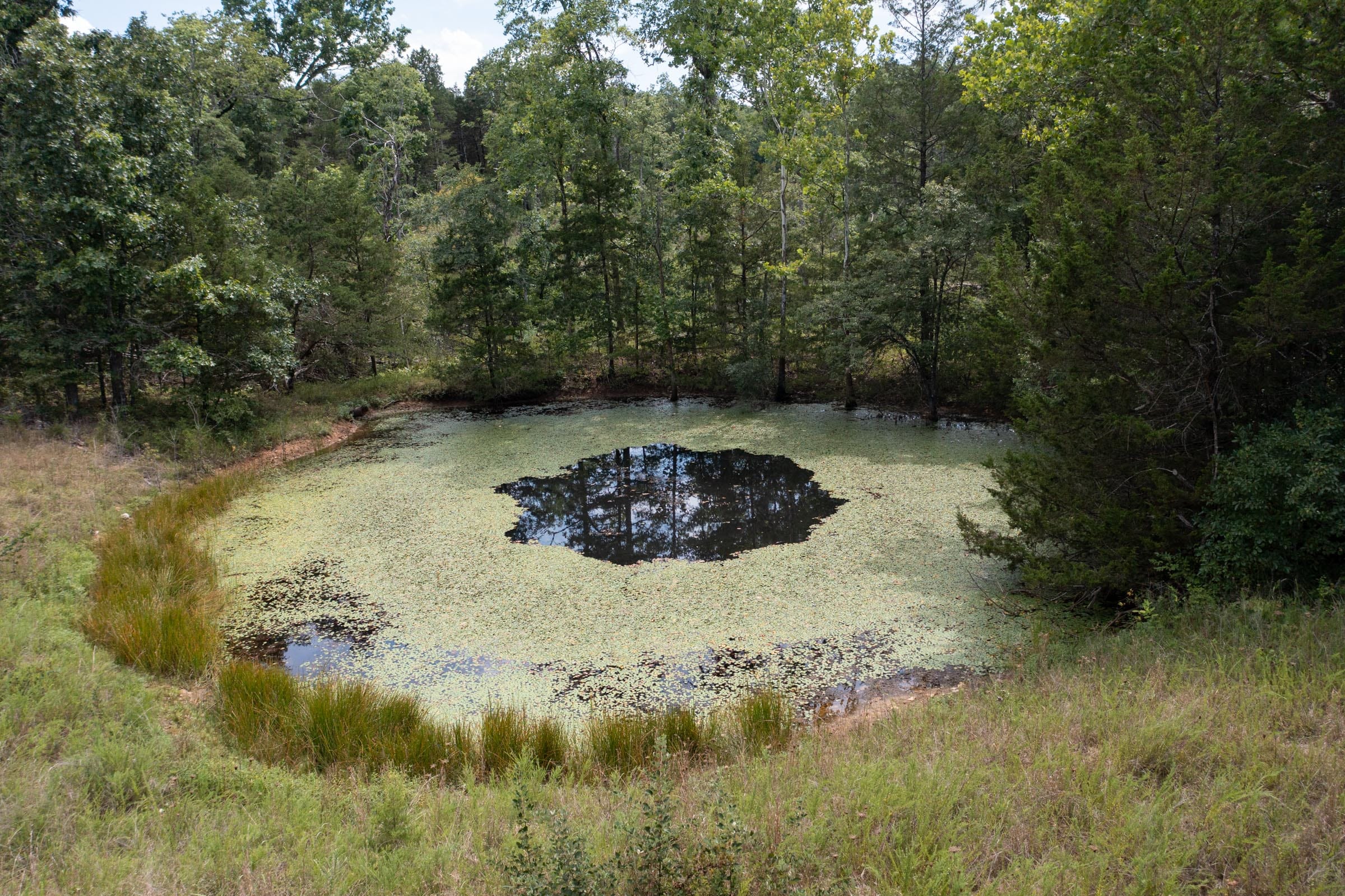 Wildwood Tract 27 photo 5