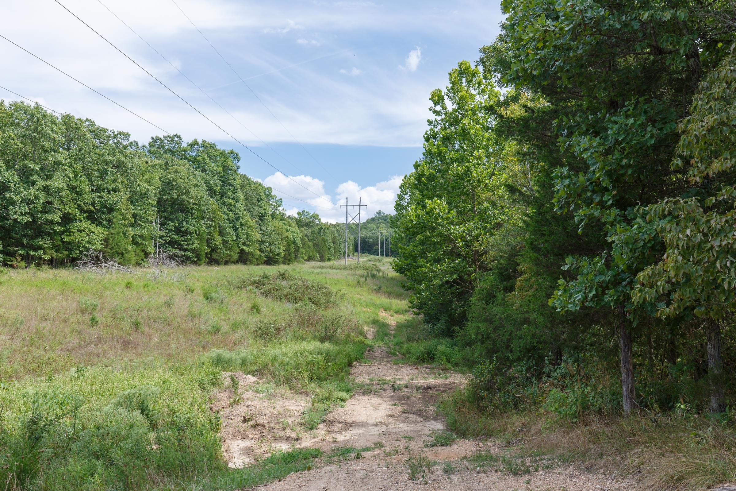 Wildwood Tract 27 photo 6