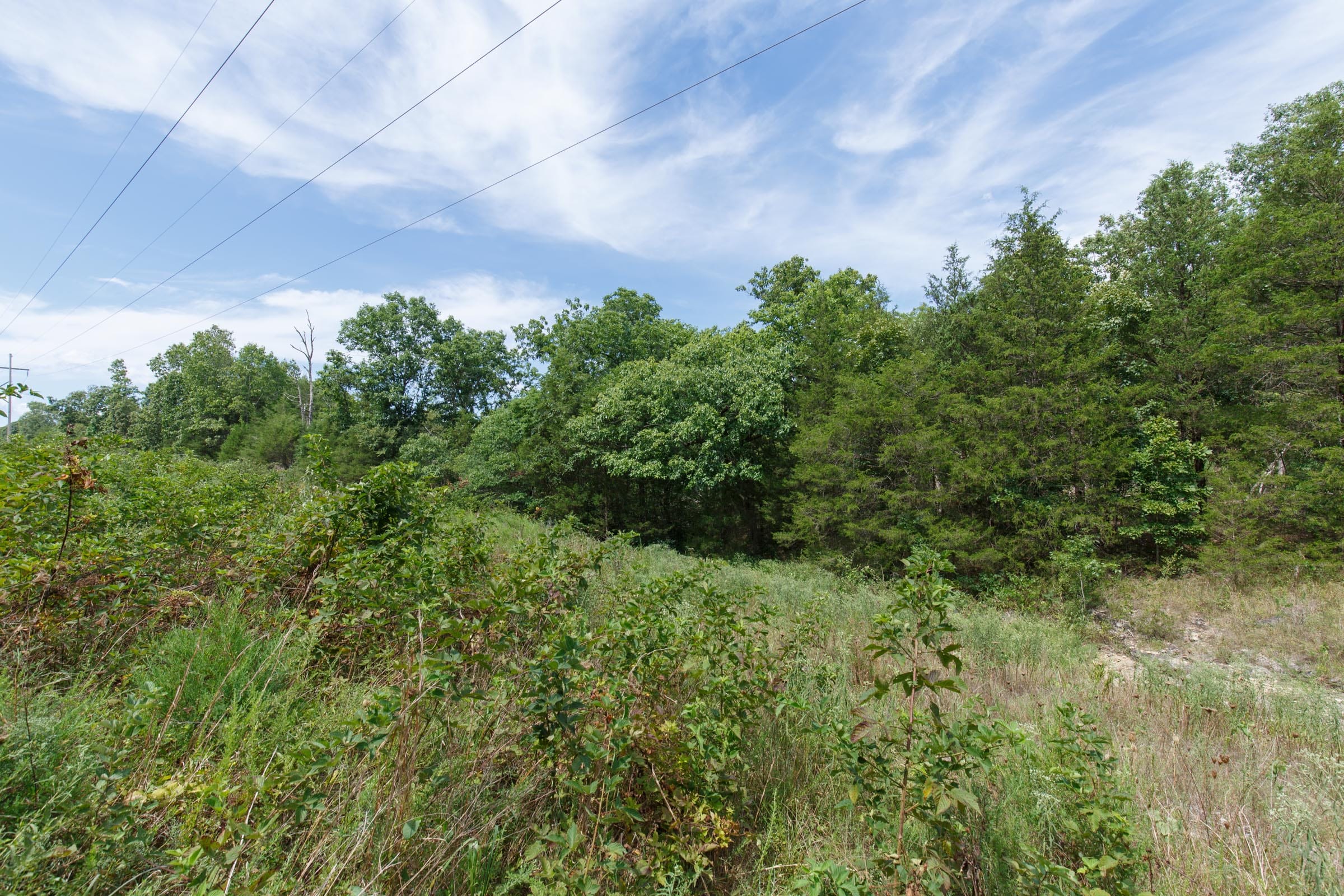 Wildwood Tract 27 photo 7
