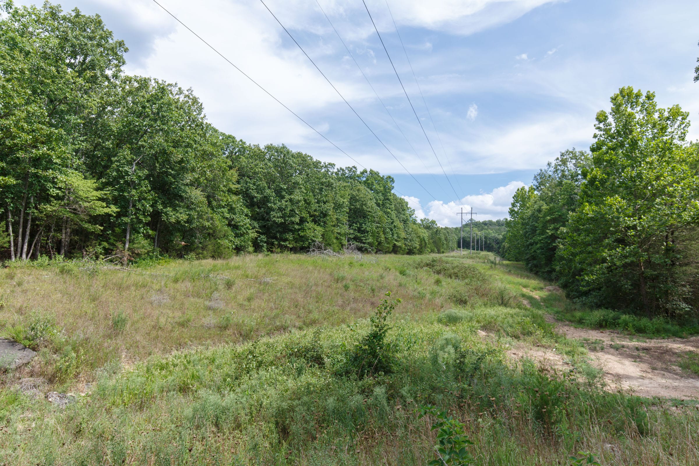 Wildwood Tract 27 photo 10