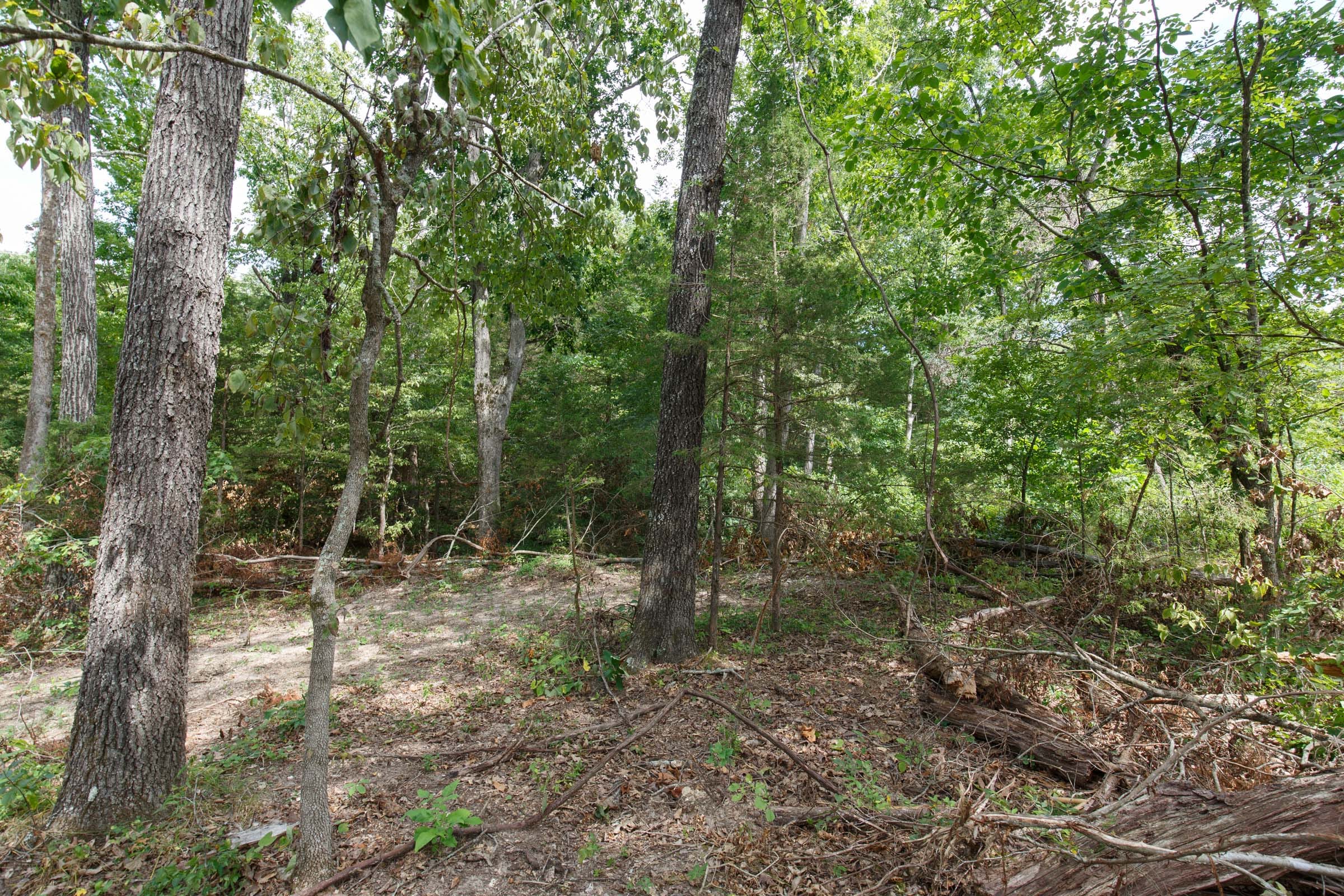 Wildwood Tract 27 photo 9
