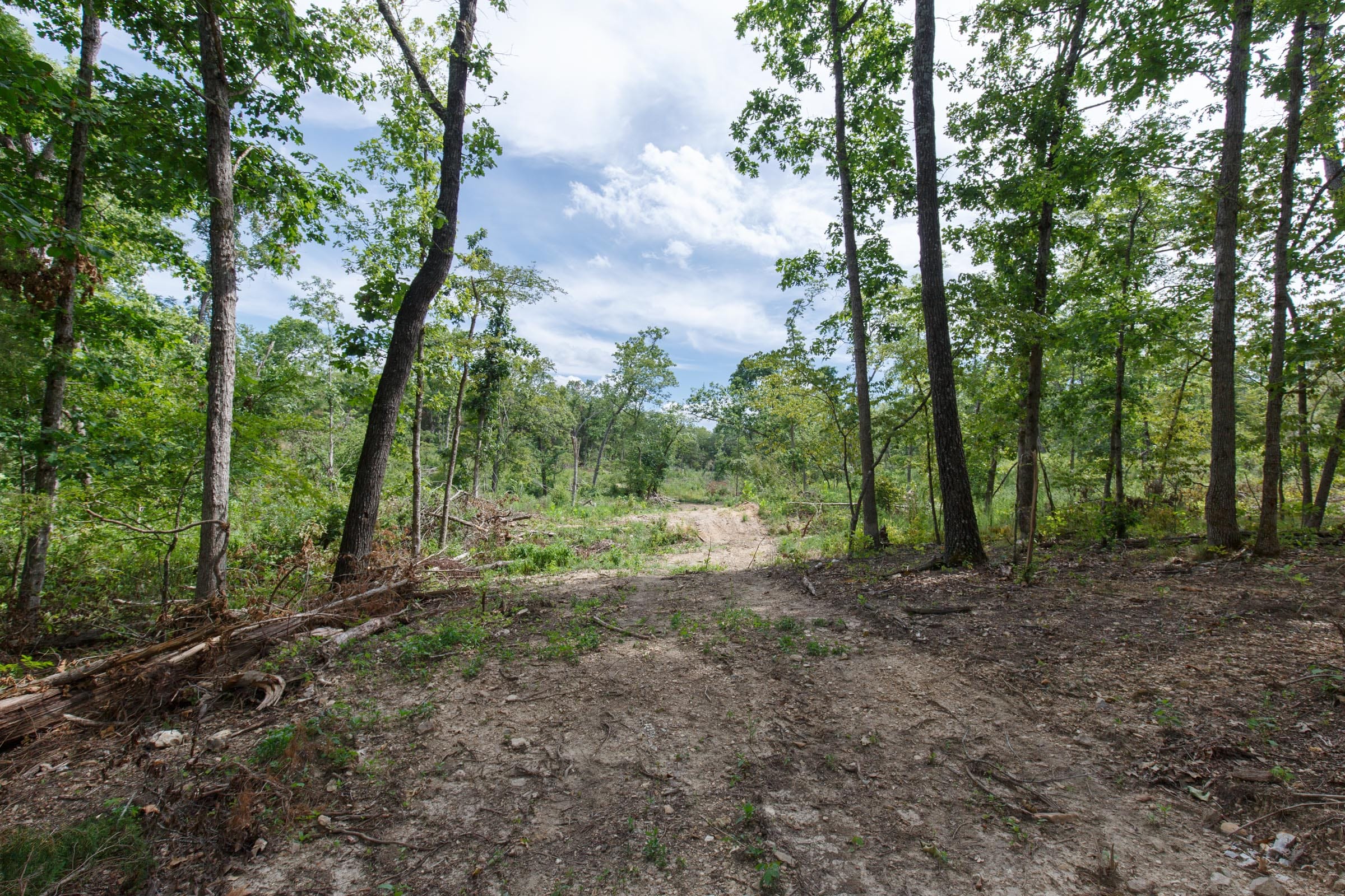 Wildwood Tract 27 photo 2